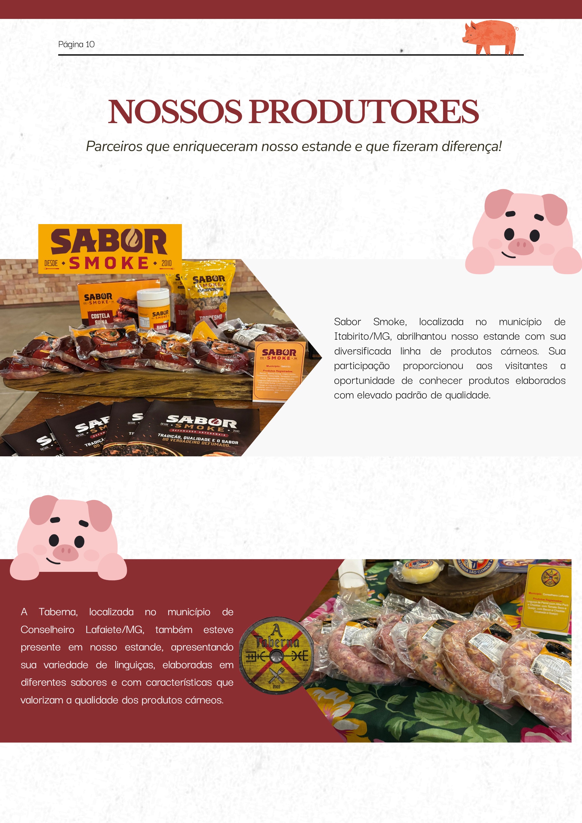 SIM-CODAP: Conectando Inspeção, Educação e Agroindústria Familiar — page 10