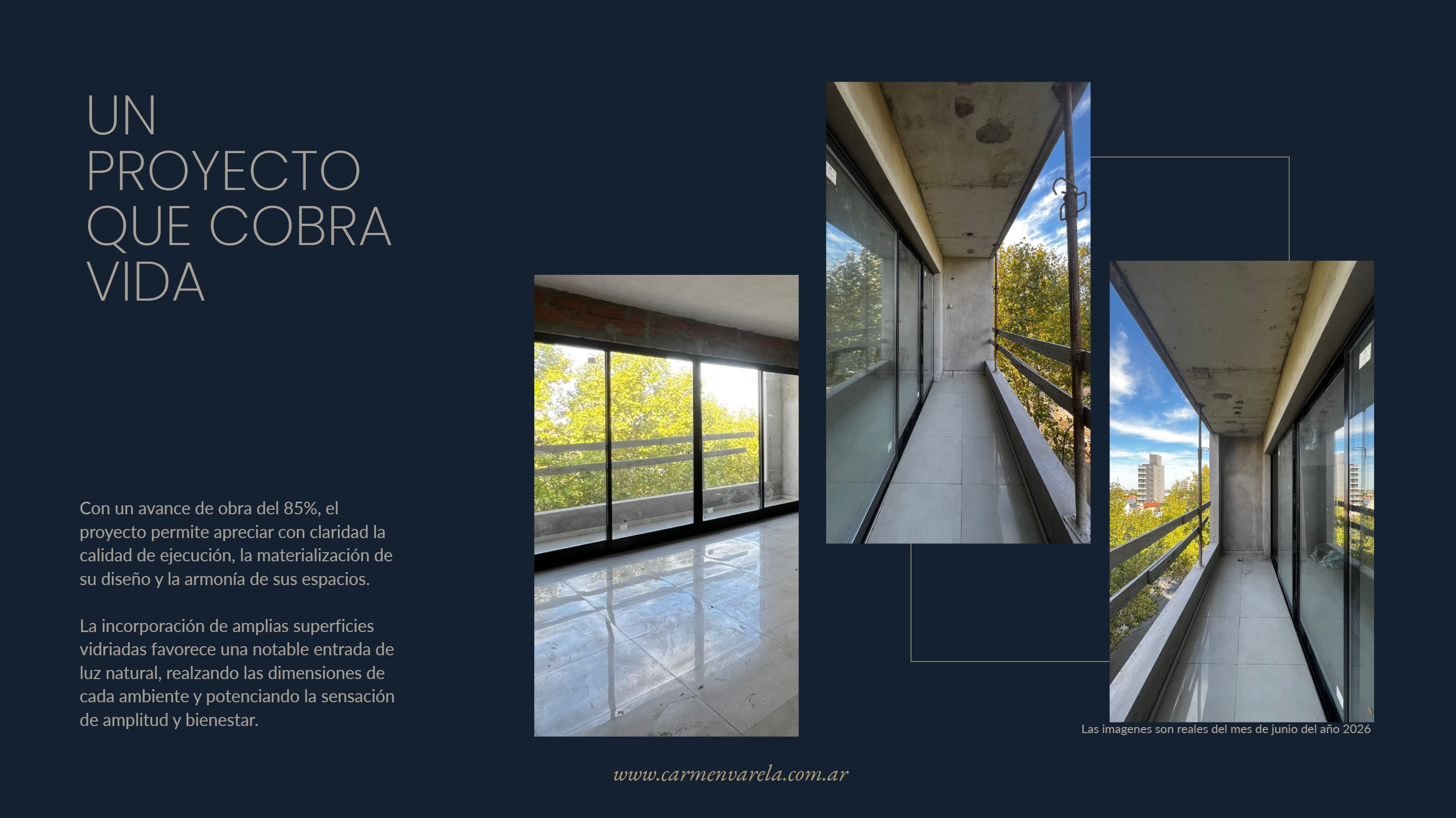 VENTA - PERDIGUERO CASEROS (2) — page 6