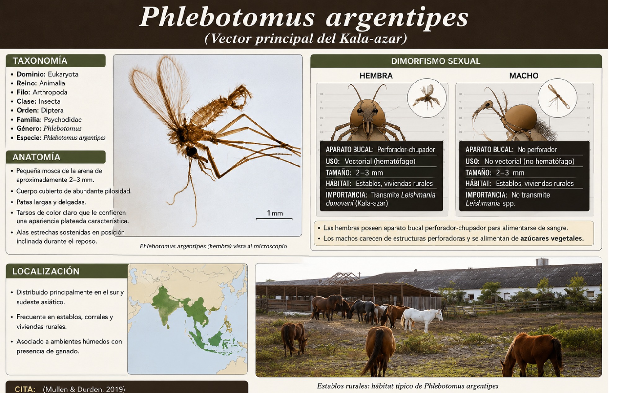 ALBUM ARTROPODOS — page 57