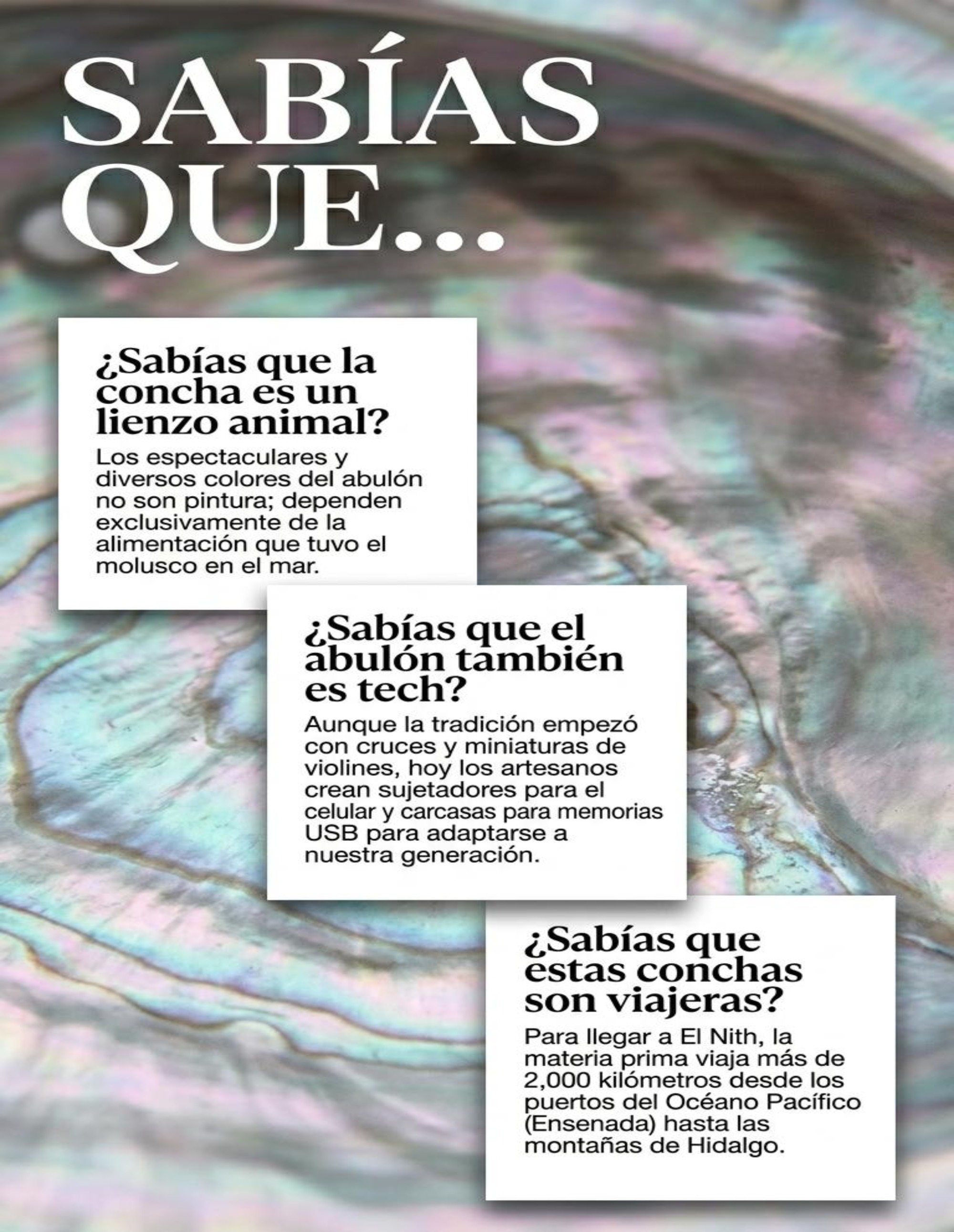 revista de Adlyn el arte de la concha de abulón — page 10