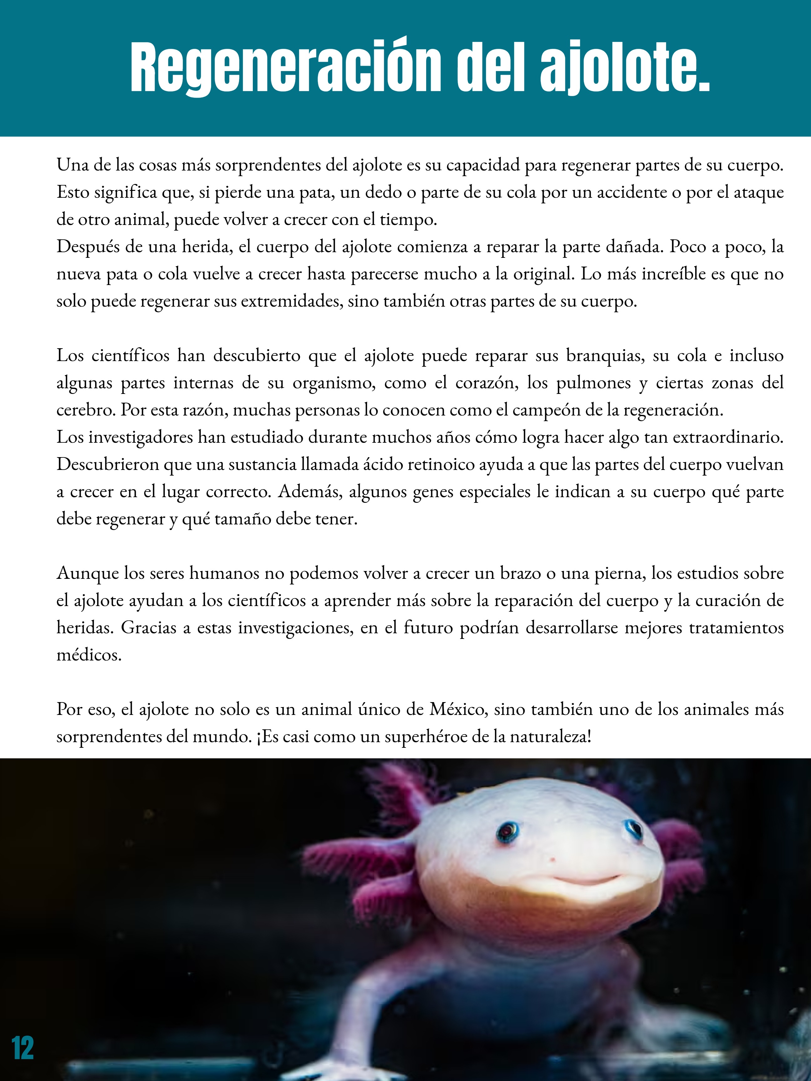 _REVISTA El club del ajolote. — page 12