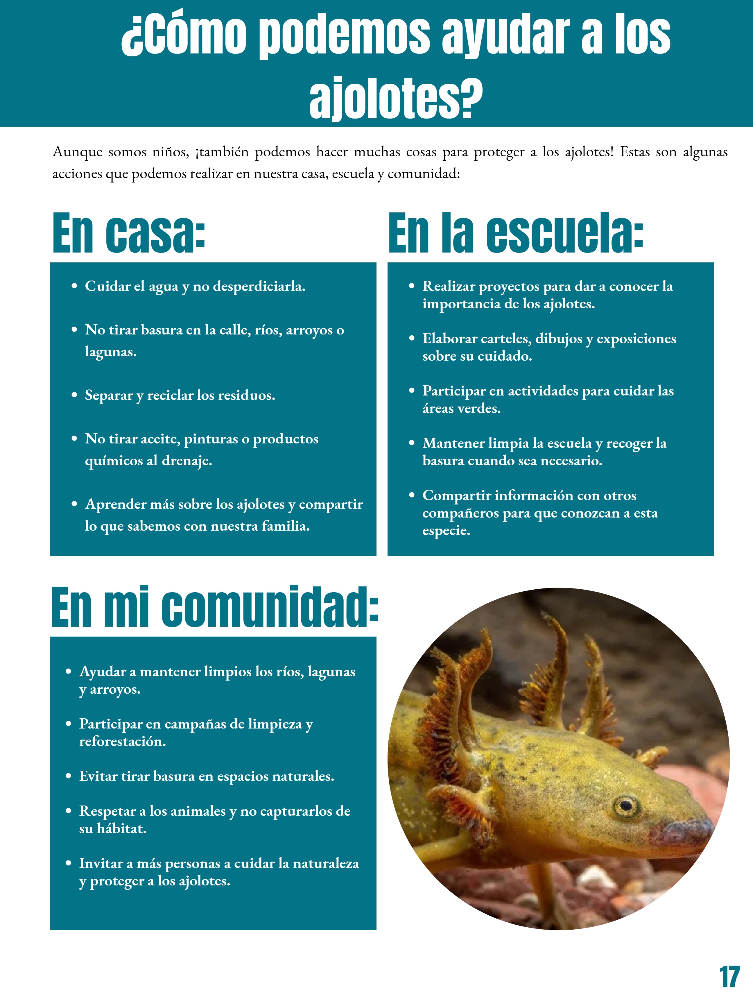 _REVISTA El club del ajolote. — page 17