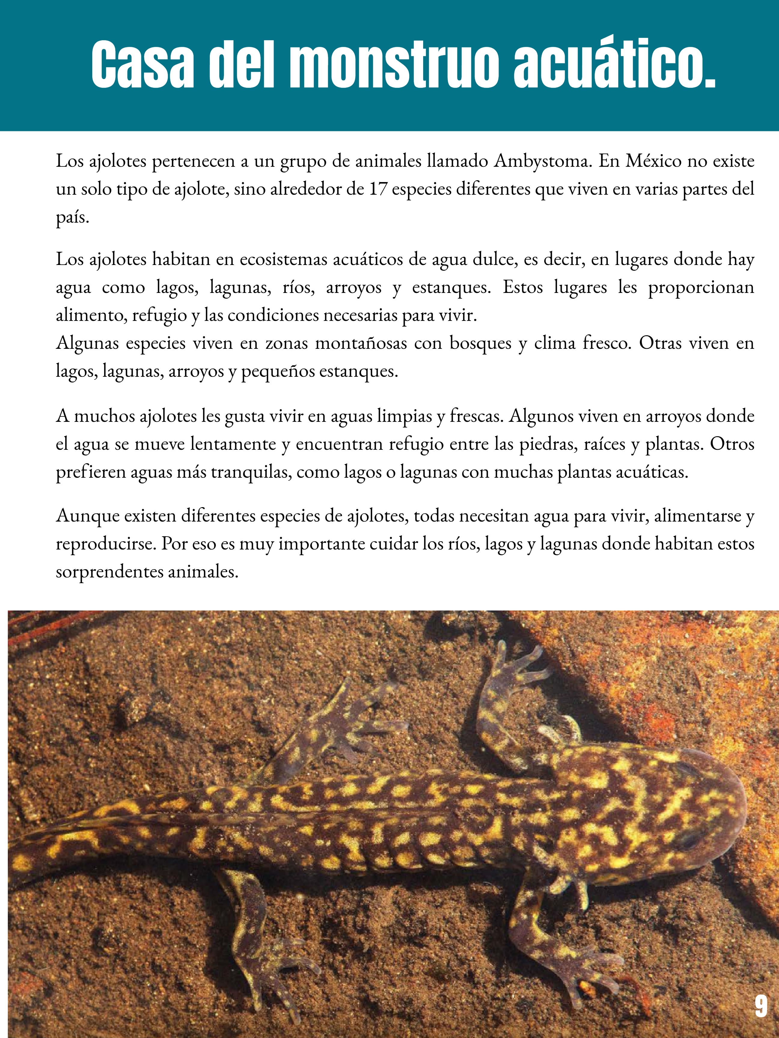 _REVISTA El club del ajolote. — page 9