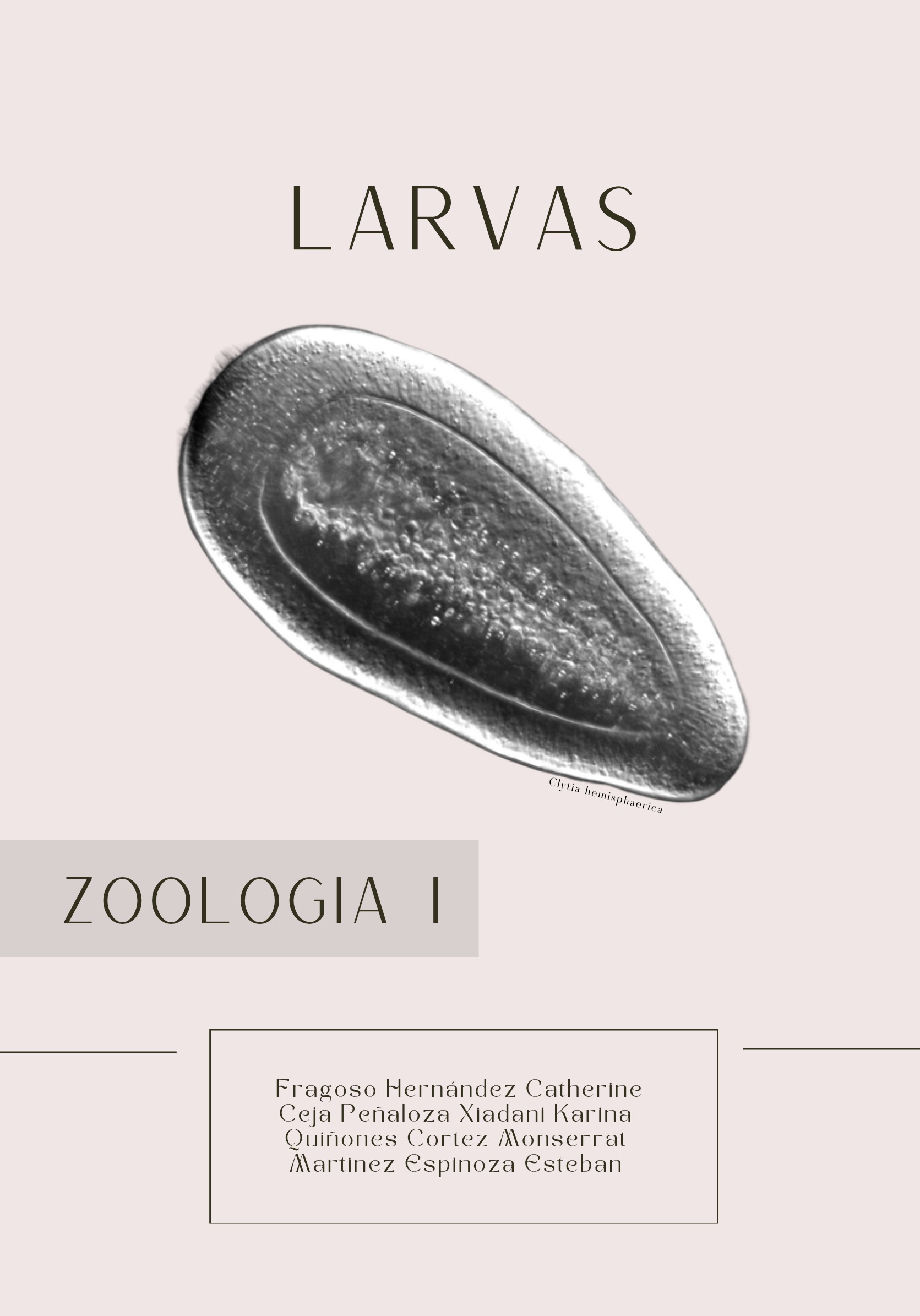 Larvas ebook 