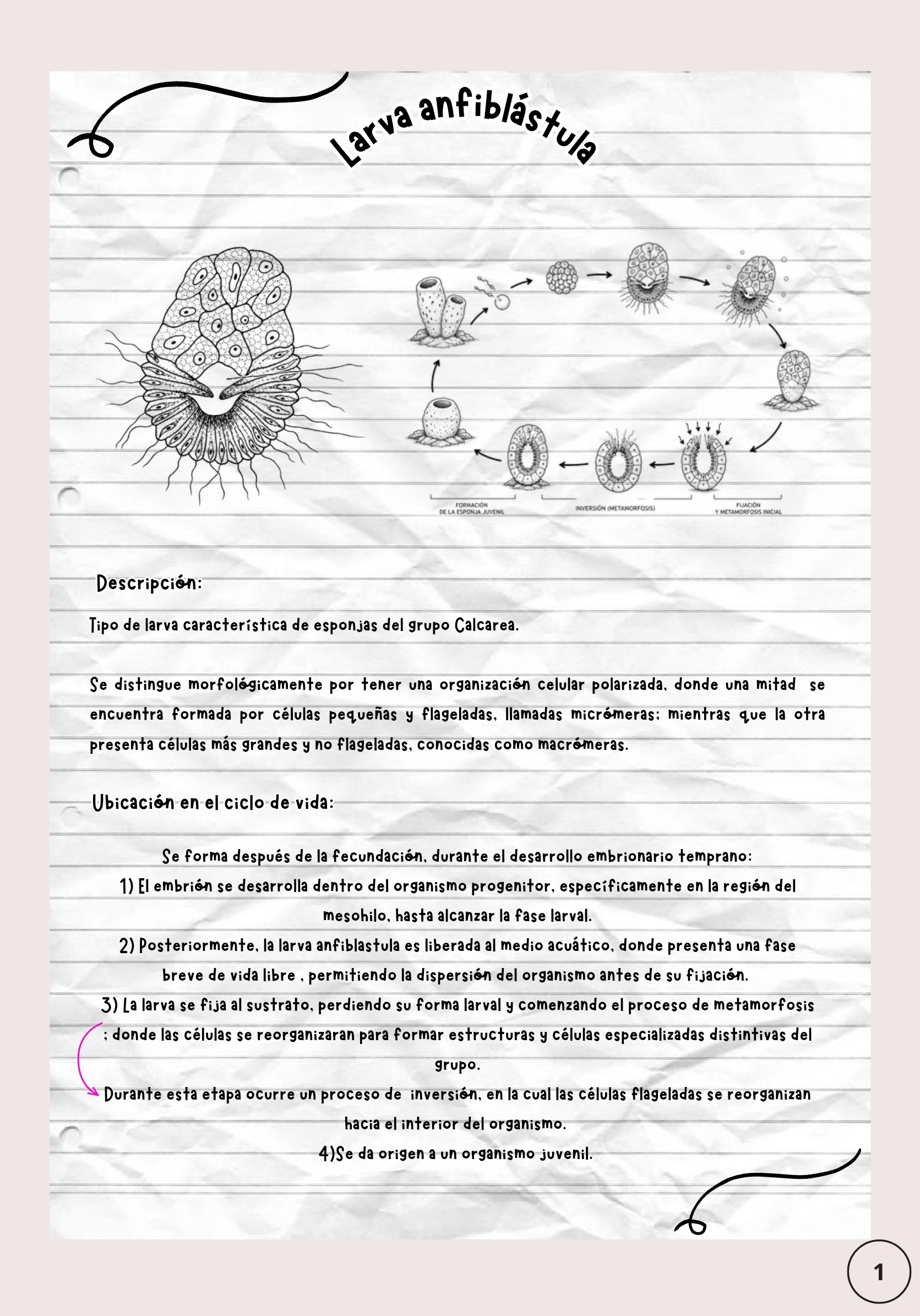Larvas ebook — page 2