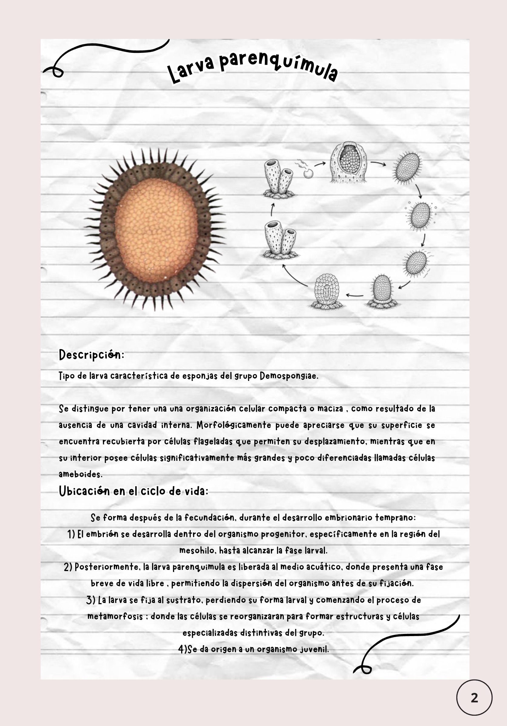 Larvas ebook — page 3