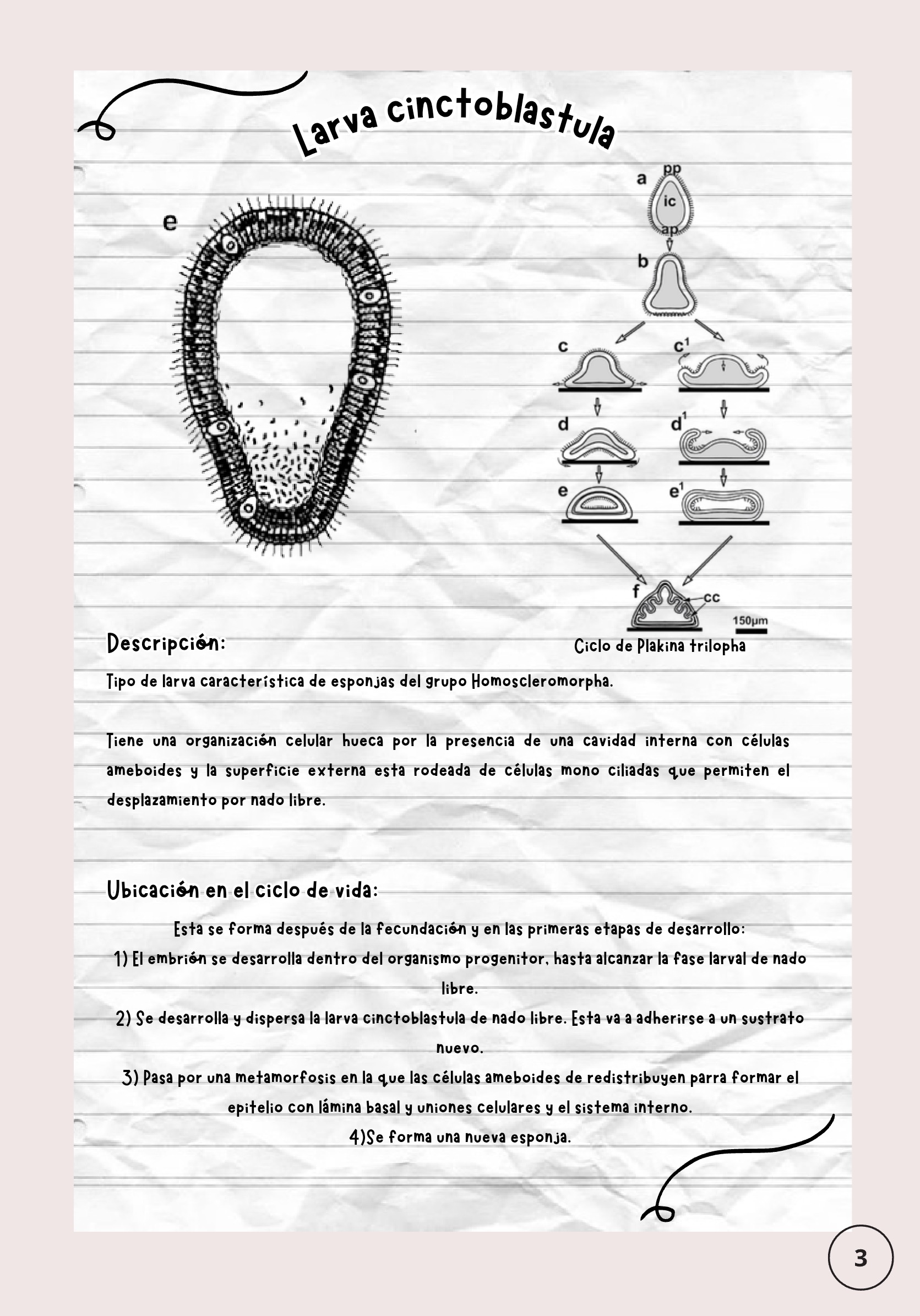 Larvas ebook — page 4