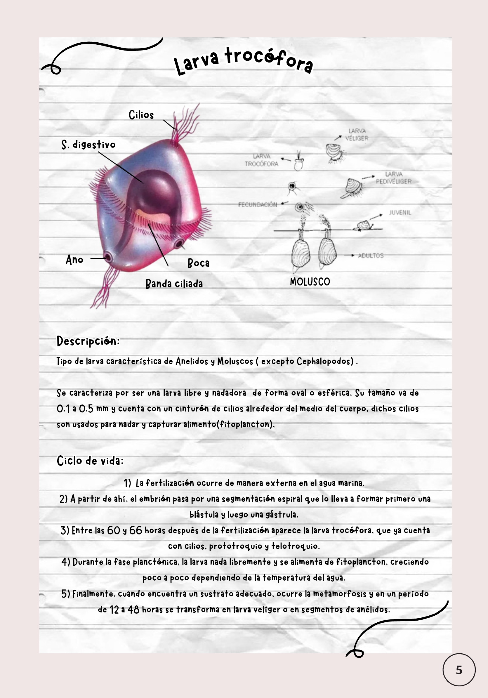 Larvas ebook — page 6