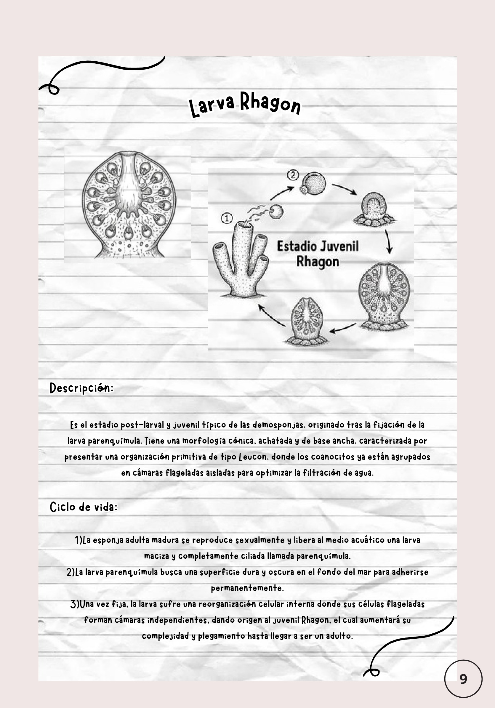 Larvas ebook — page 9
