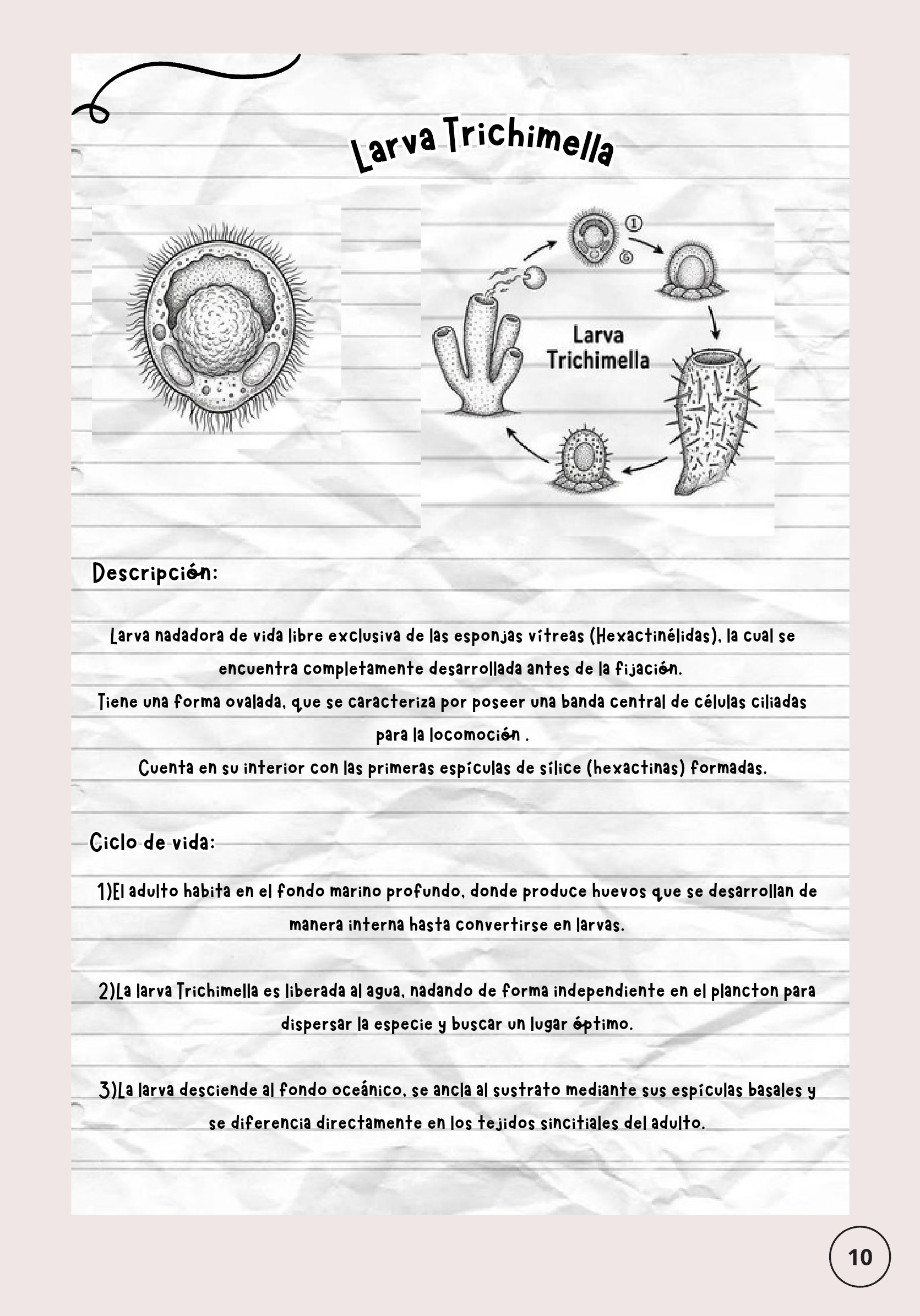 Larvas ebook — page 10