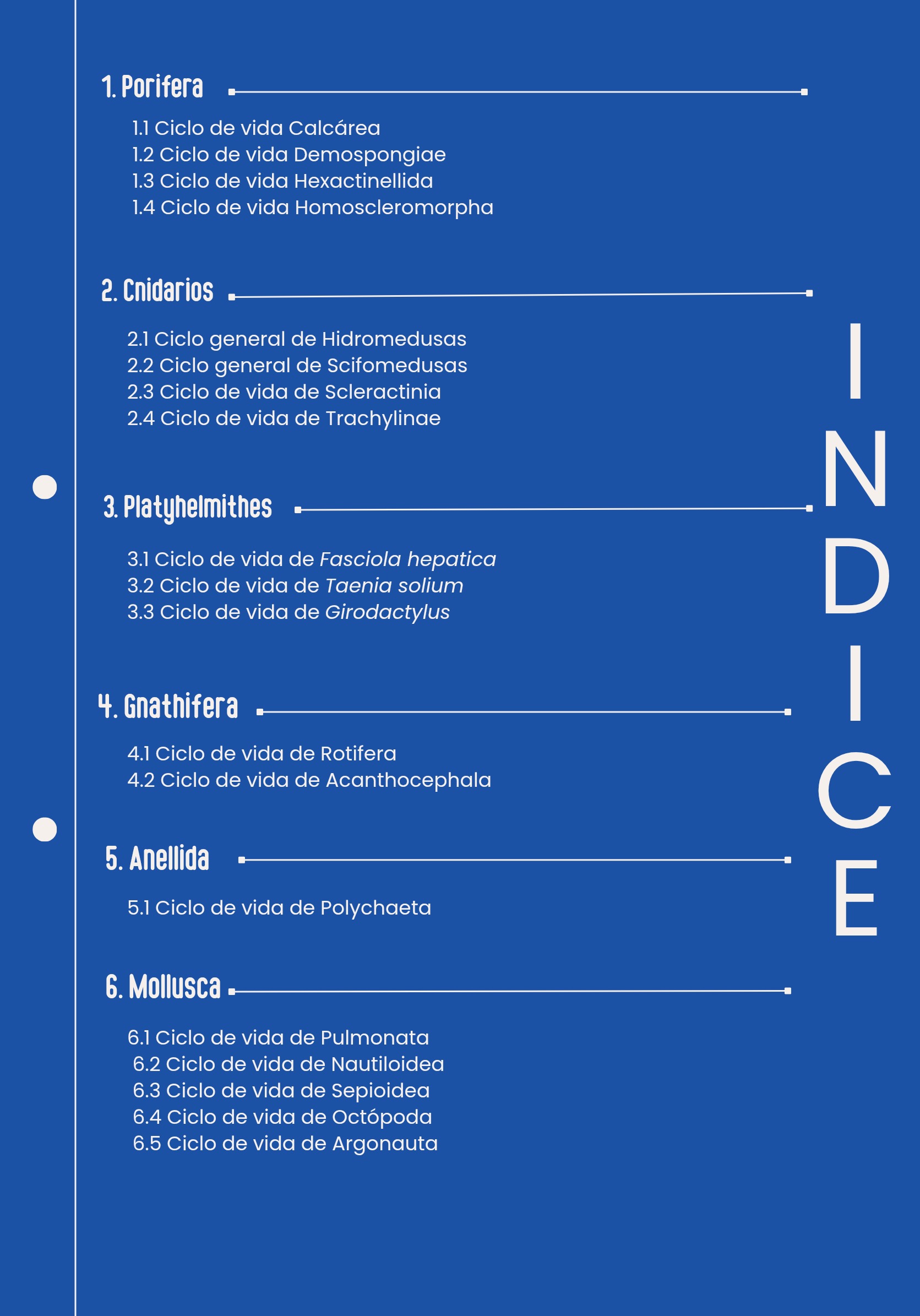 Ciclos Ebook — page 2