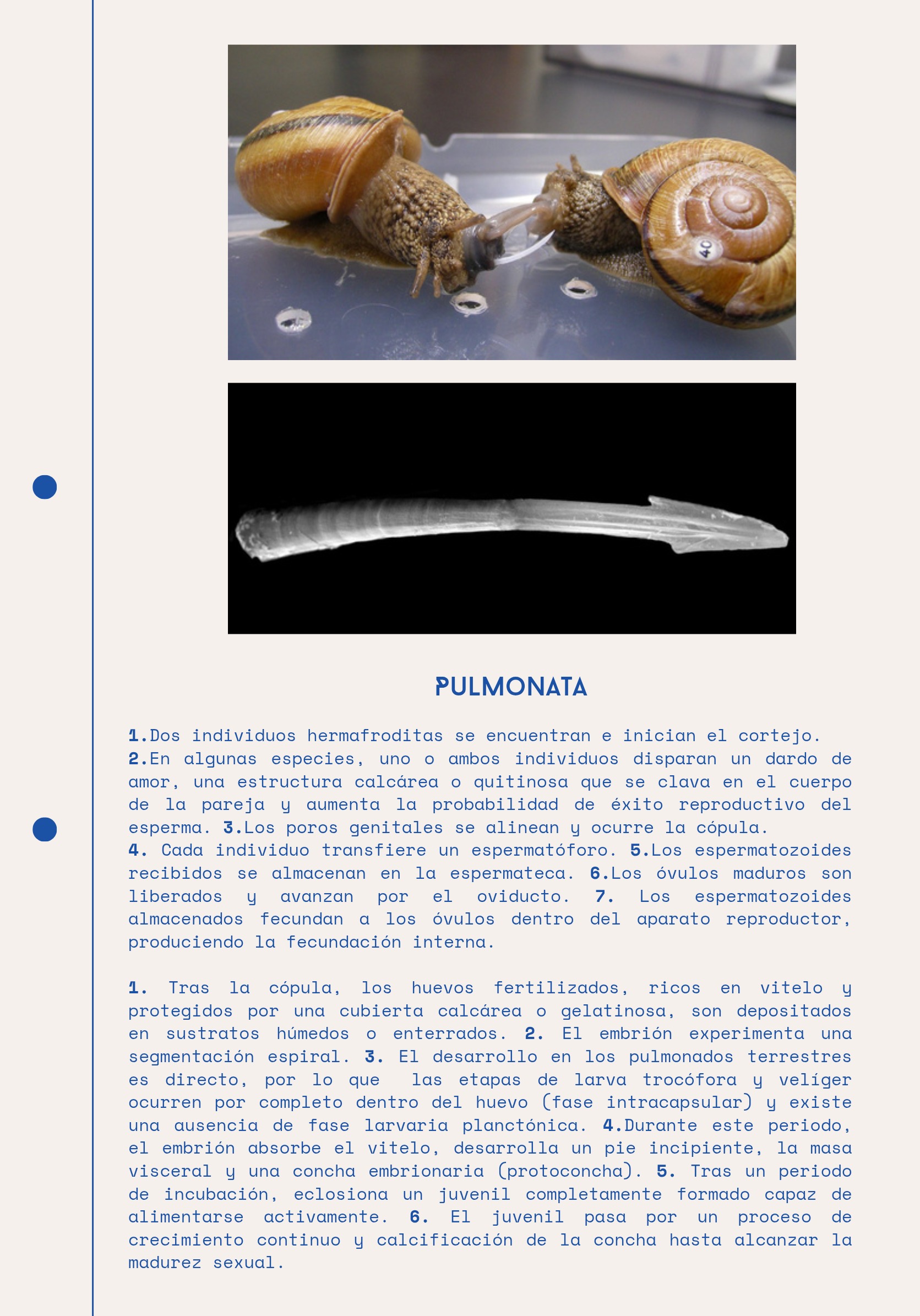Ciclos Ebook — page 16