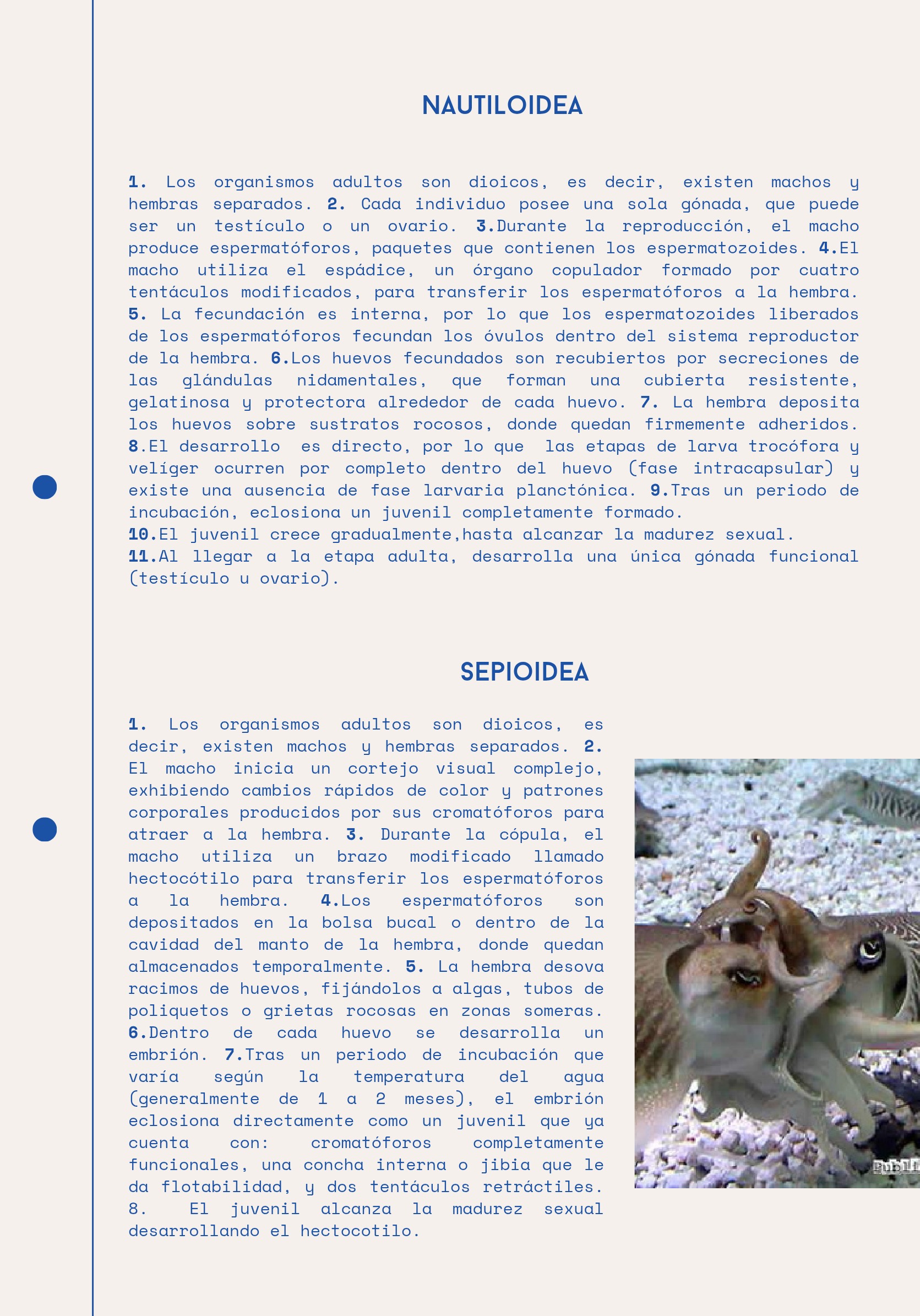 Ciclos Ebook — page 17