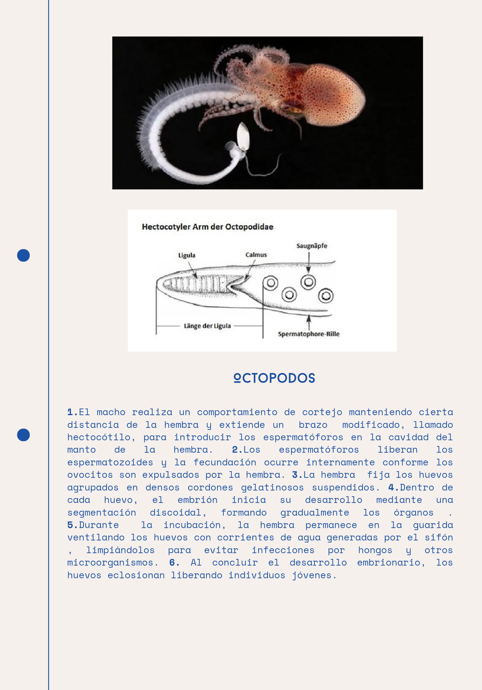 Ciclos Ebook — page 18
