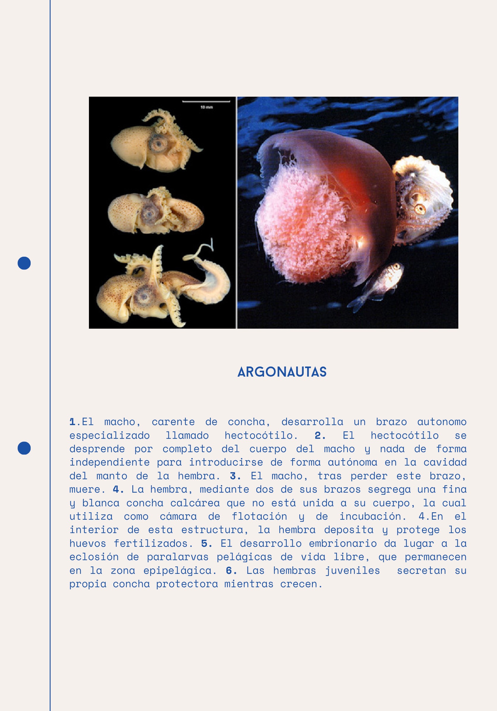 Ciclos Ebook — page 19