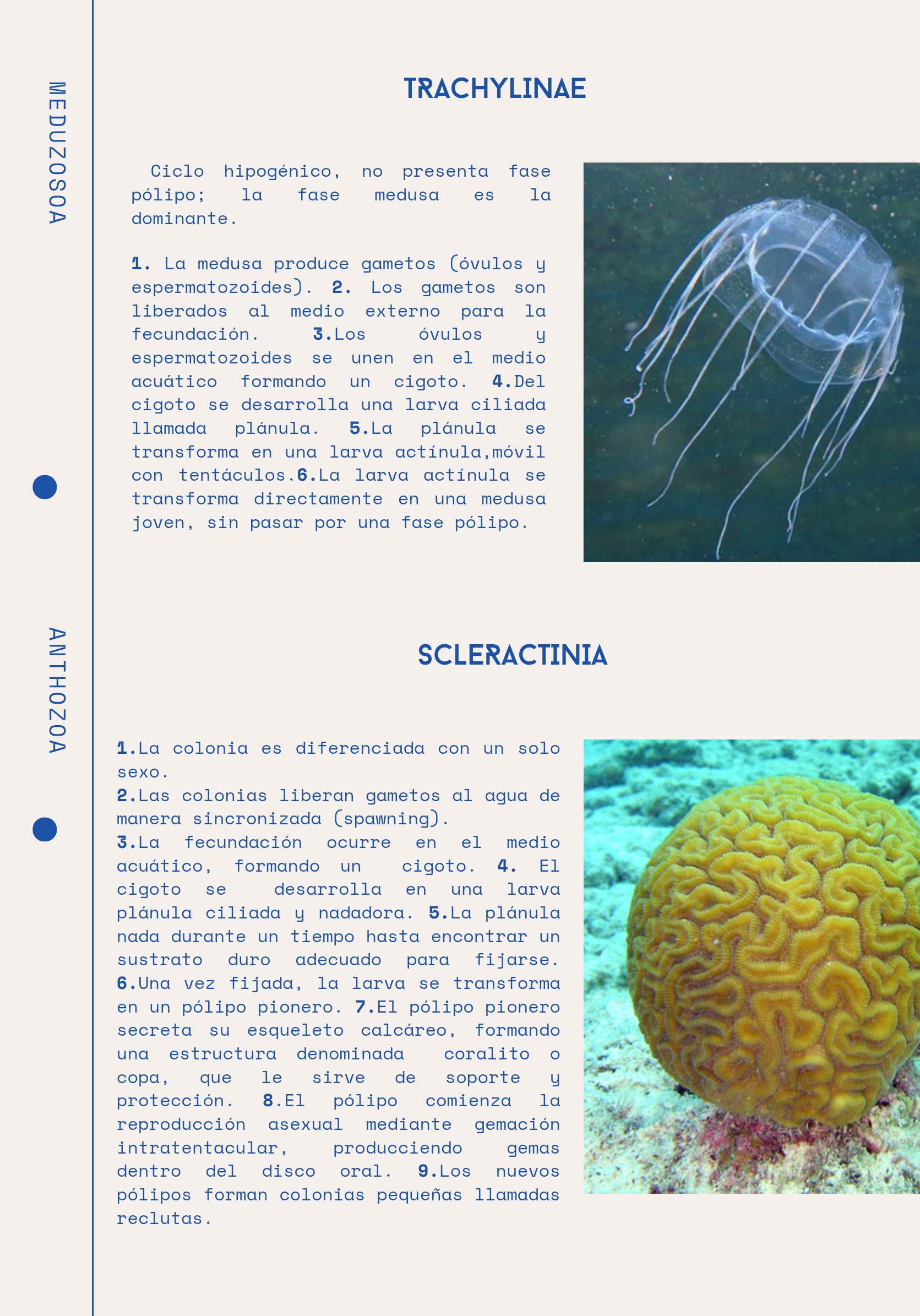 Ciclos Ebook — page 9