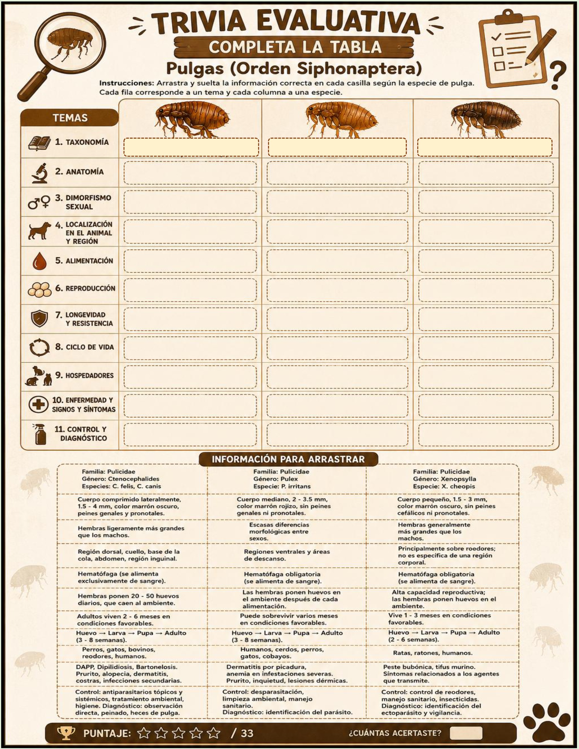 Atlas de artropodos_parasitologia veterinaria_2026 — page 29