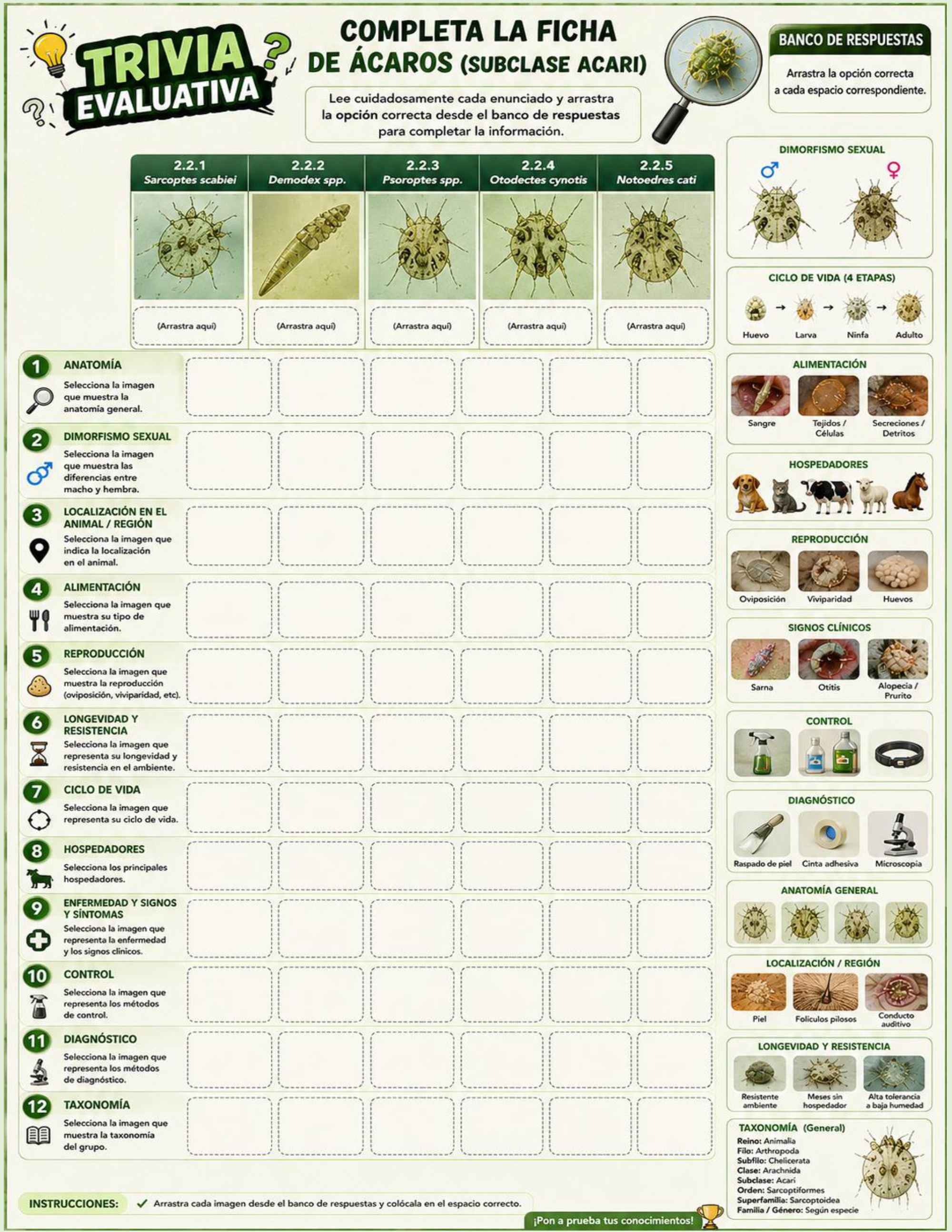 Atlas de artropodos_parasitologia veterinaria_2026 — page 44