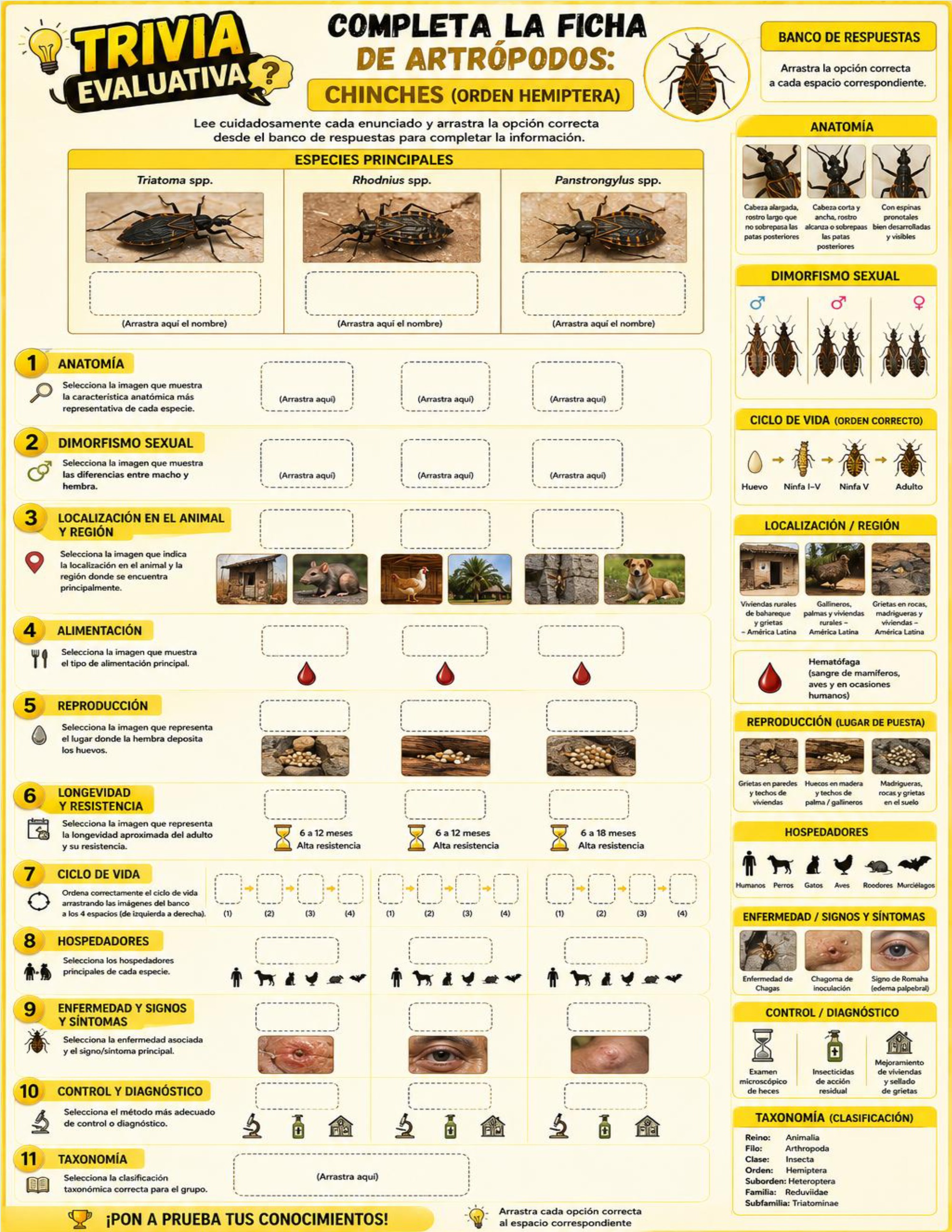 Atlas de artropodos_parasitologia veterinaria_2026 — page 24