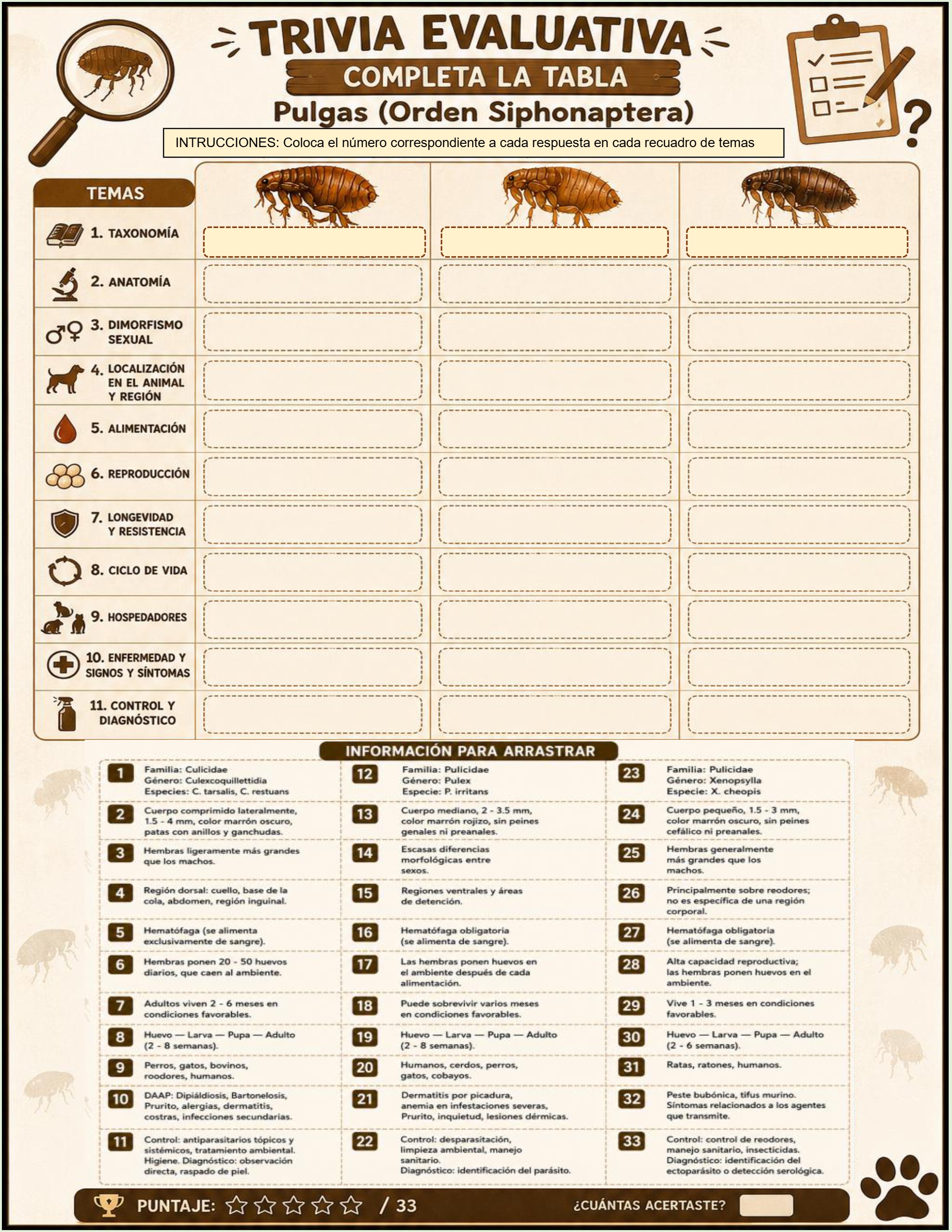 Atlas de artropodos_parasitologia veterinaria_2026 — page 29