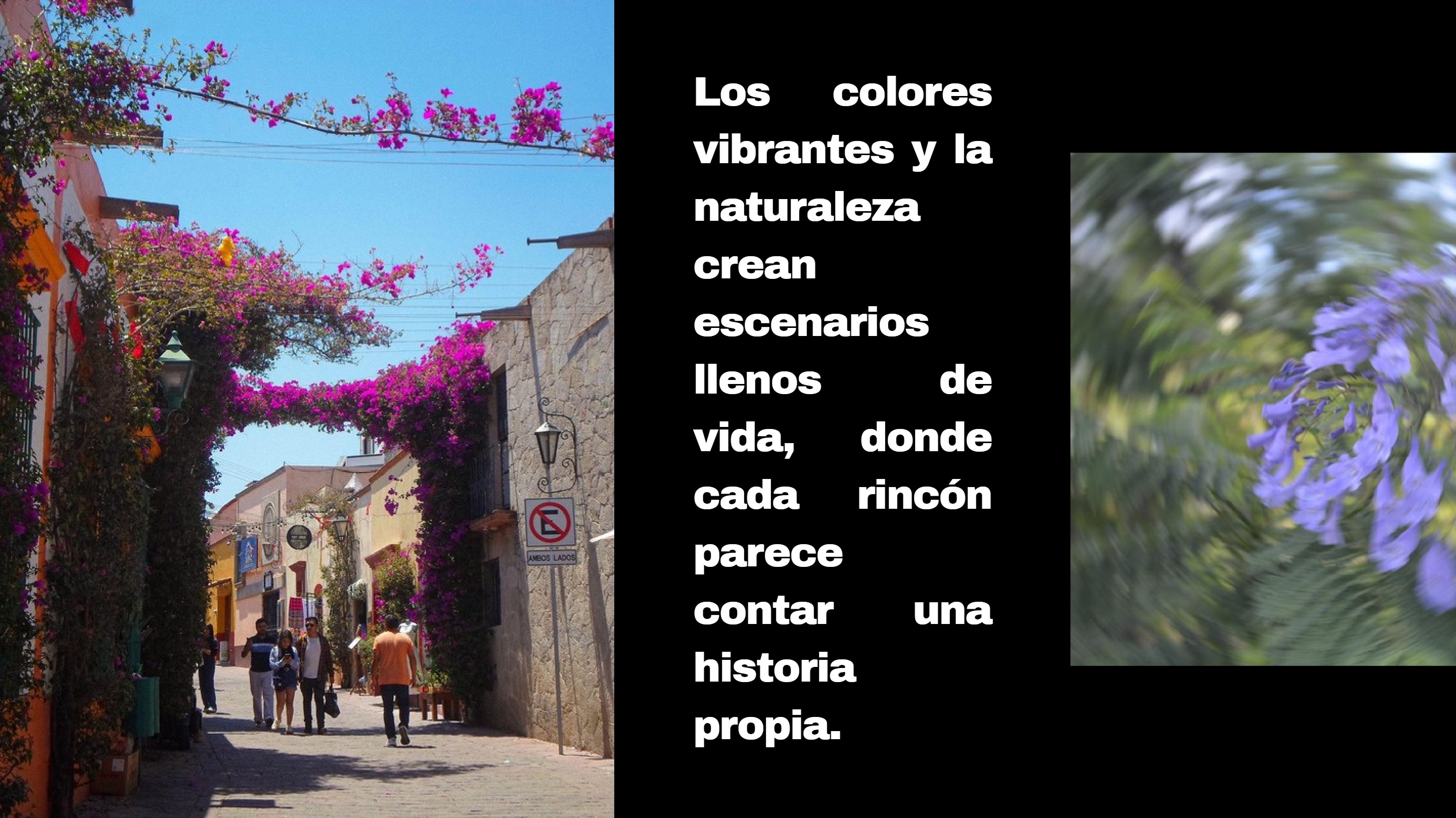 Punto de vista — page 16