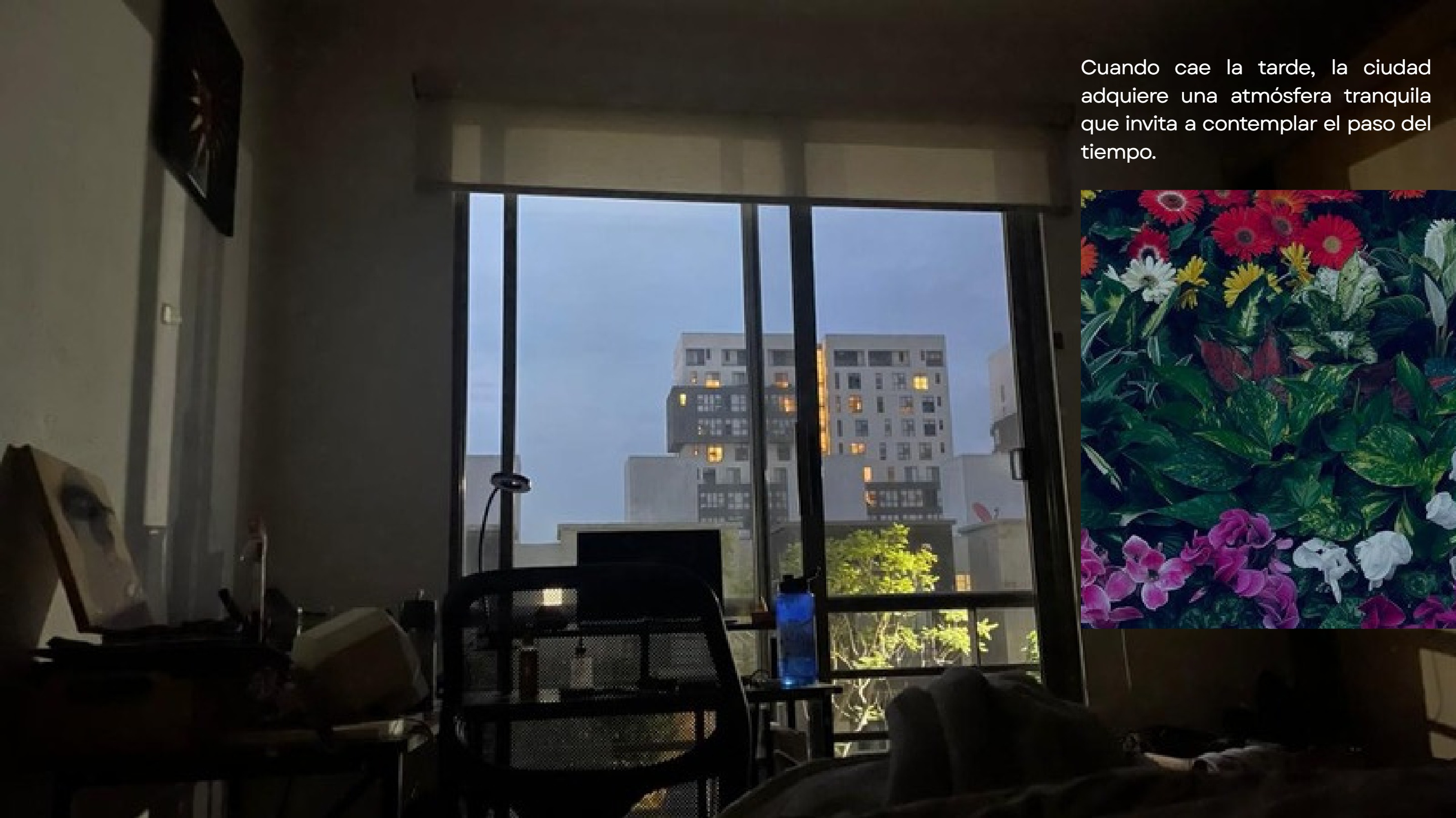 Punto de vista — page 22