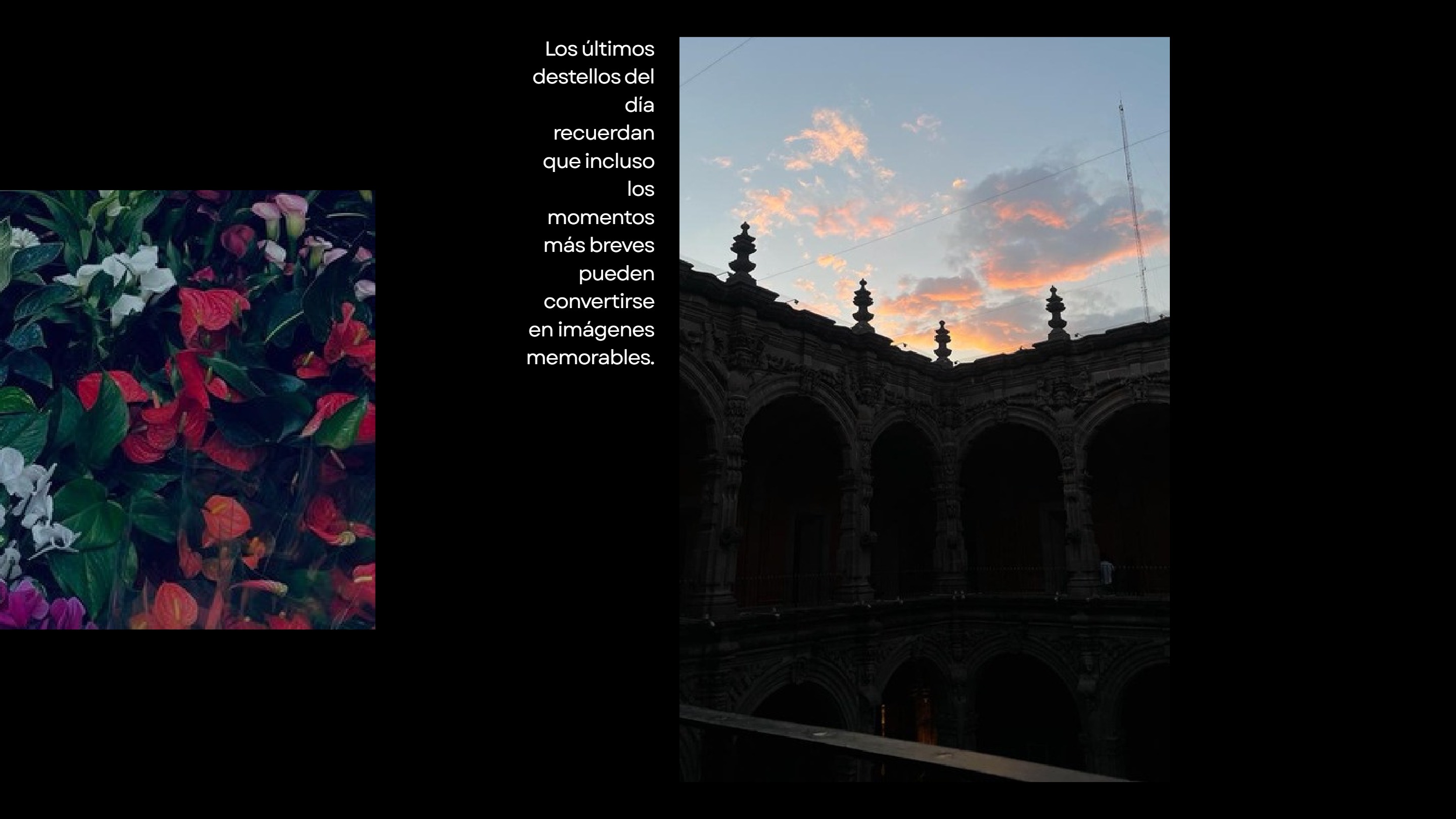 Punto de vista — page 23