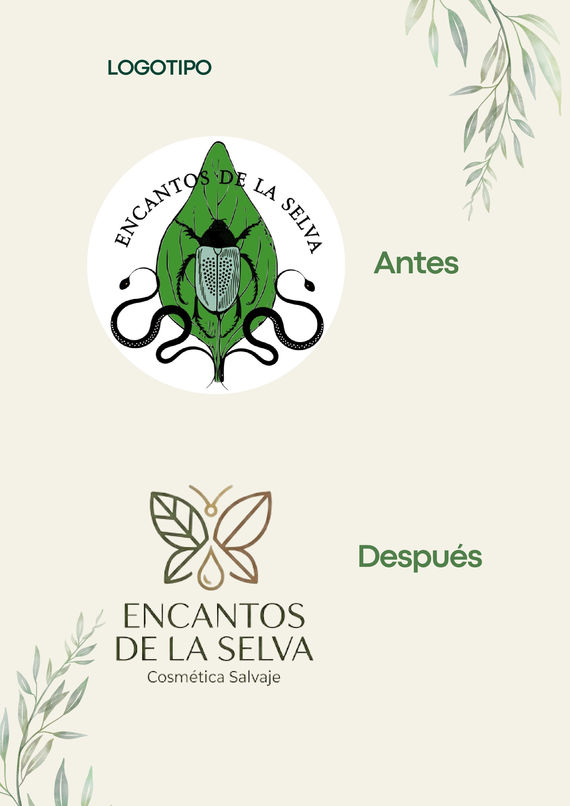 BRANDBOOK ENCANTOS DE LA SELVA — page 3