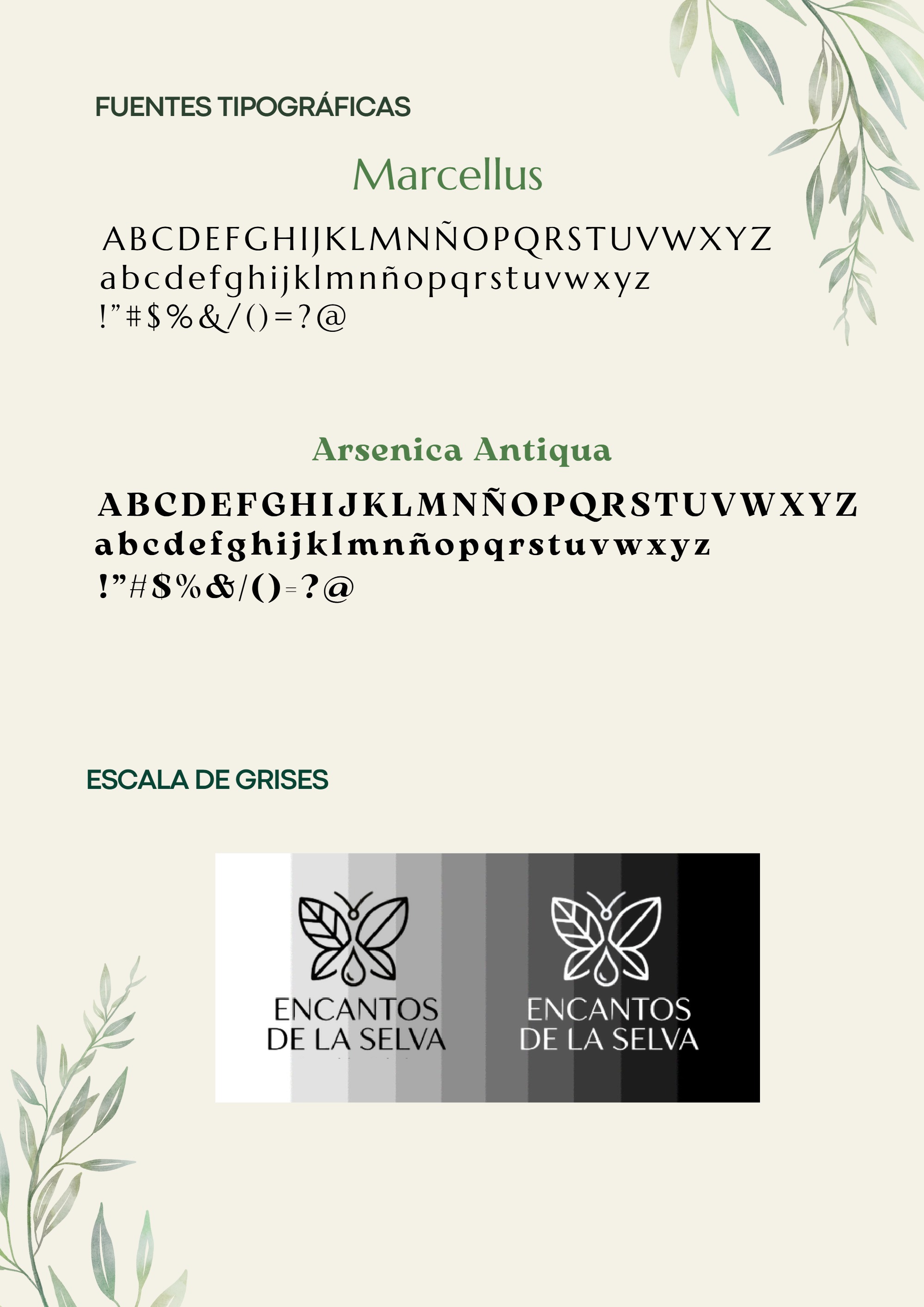 BRANDBOOK ENCANTOS DE LA SELVA — page 6