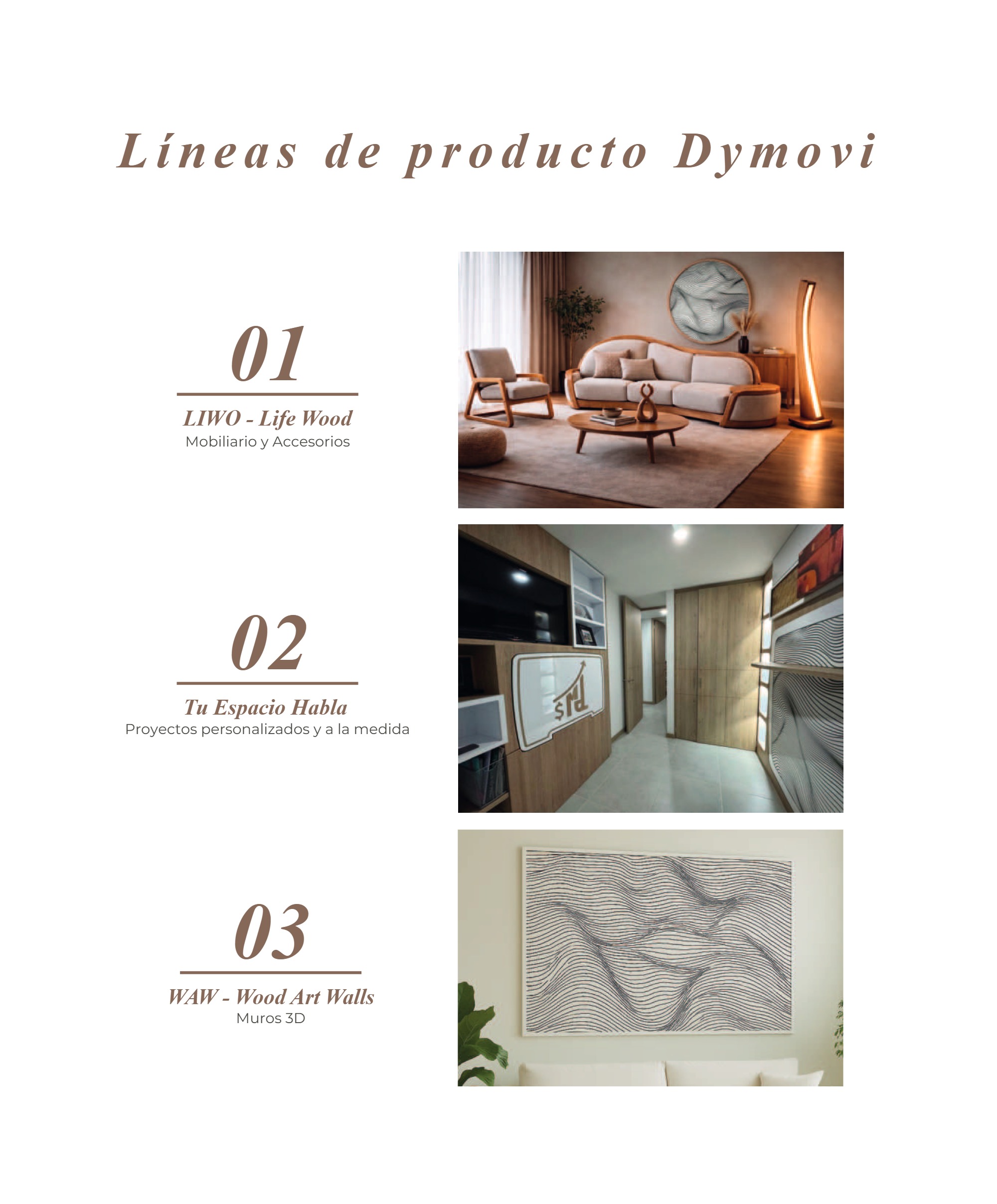 Portafolio DYMOVI 2026 — page 2