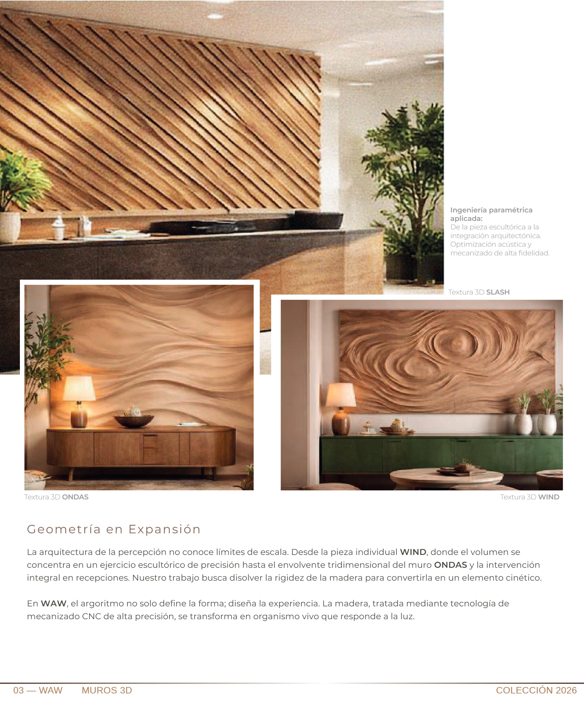 Portafolio DYMOVI 2026 — page 27