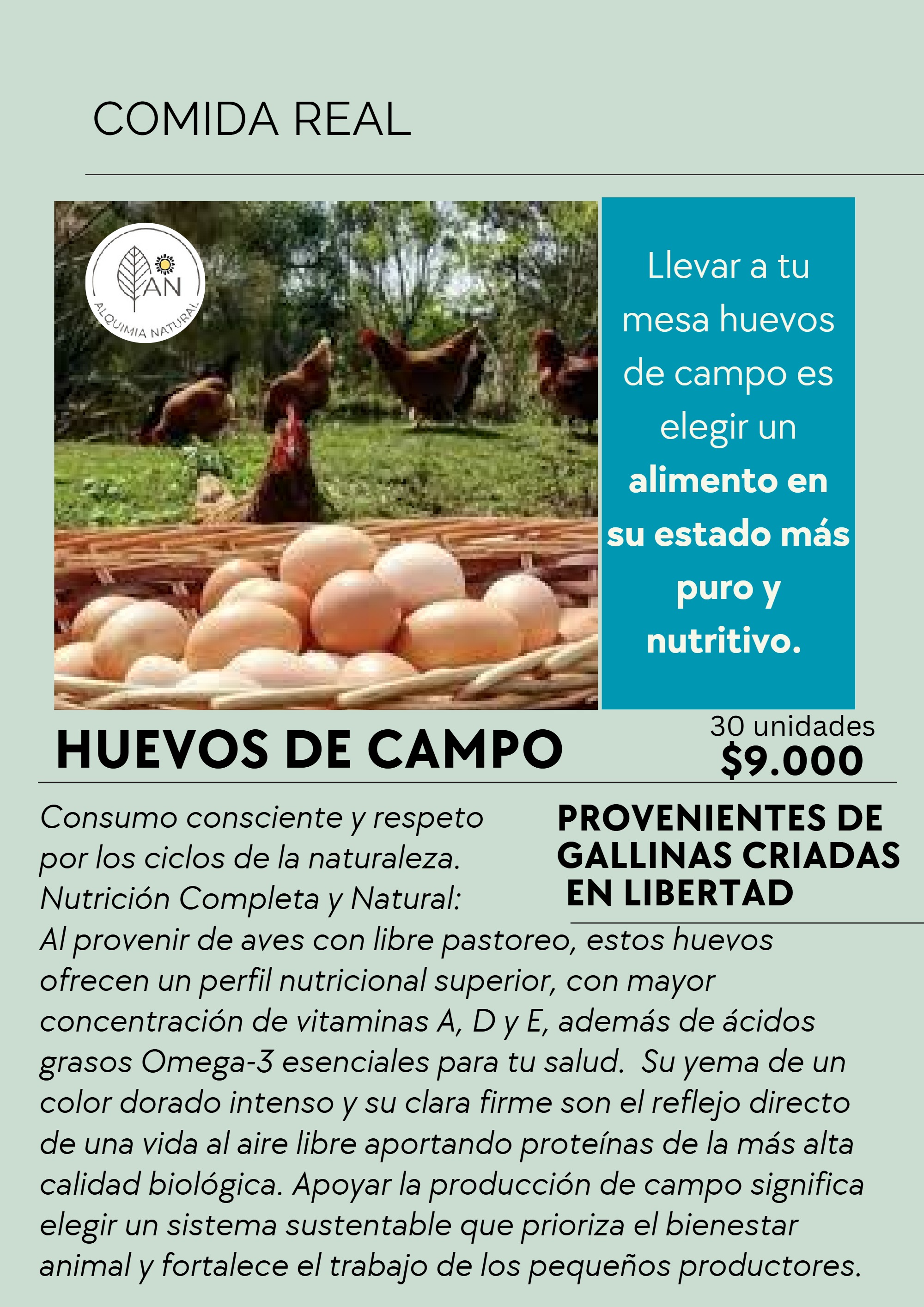 Catálogo AN Comida Real — page 24