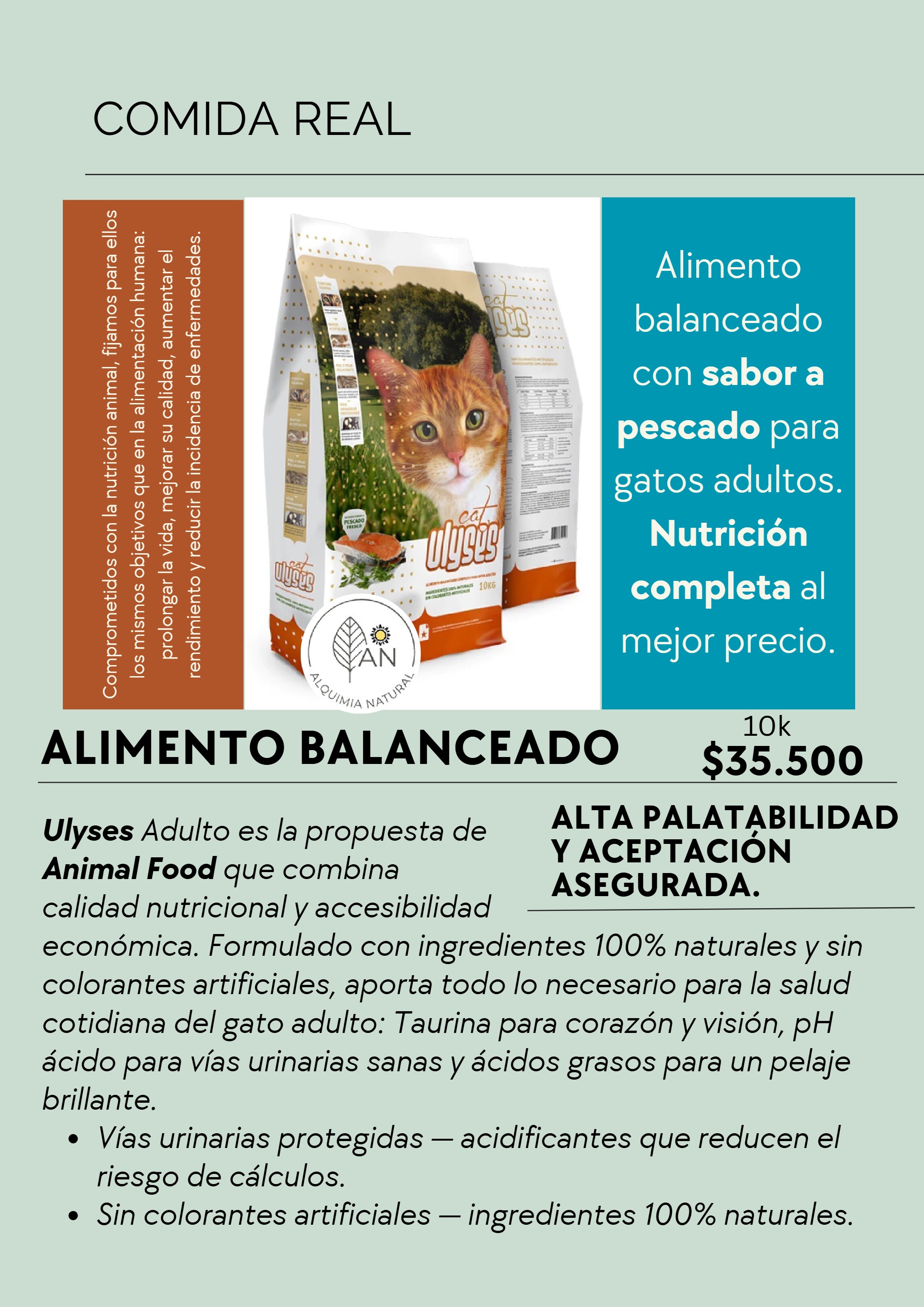 Catálogo AN Comida Real — page 27