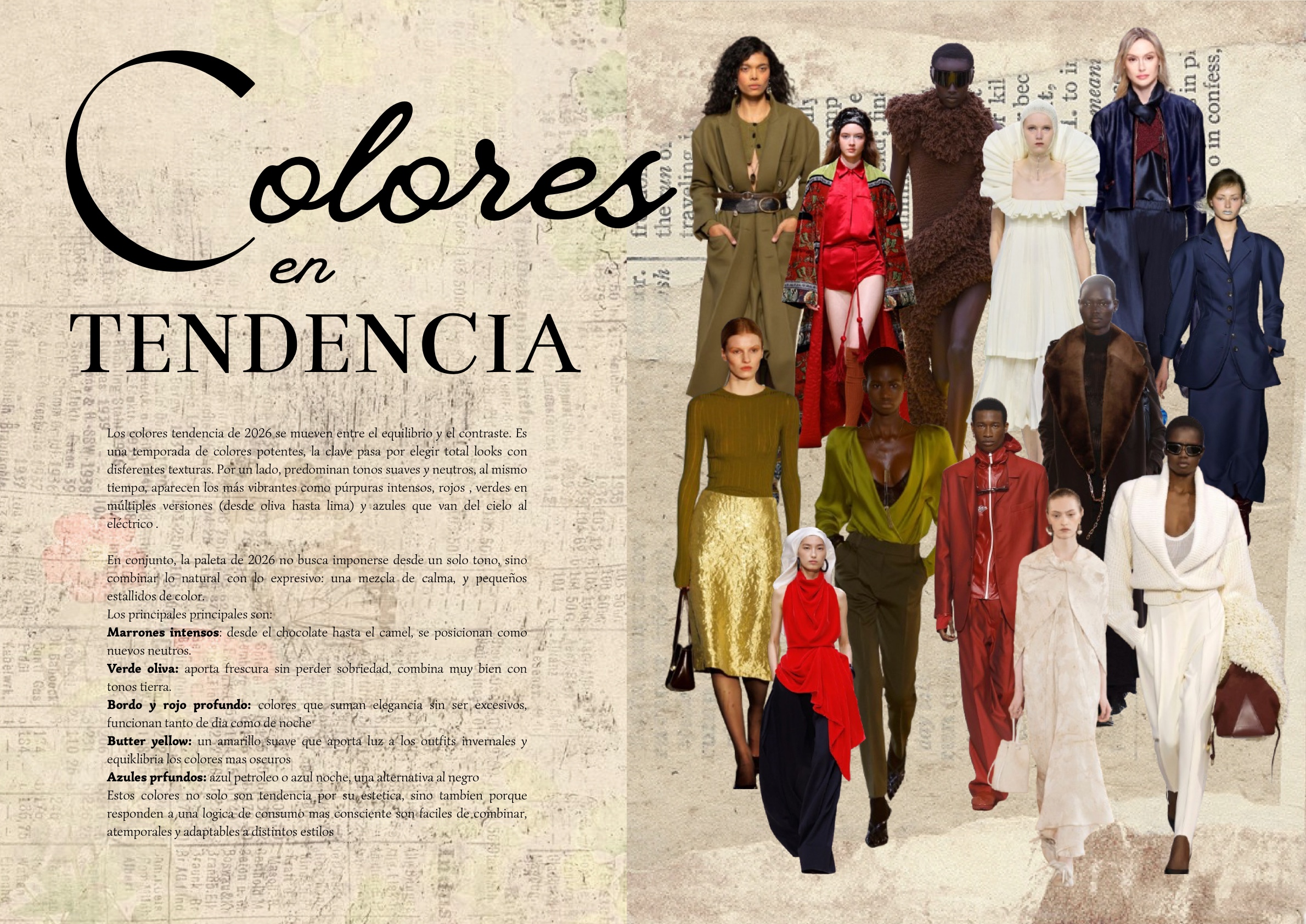 Revista en A3 — page 5