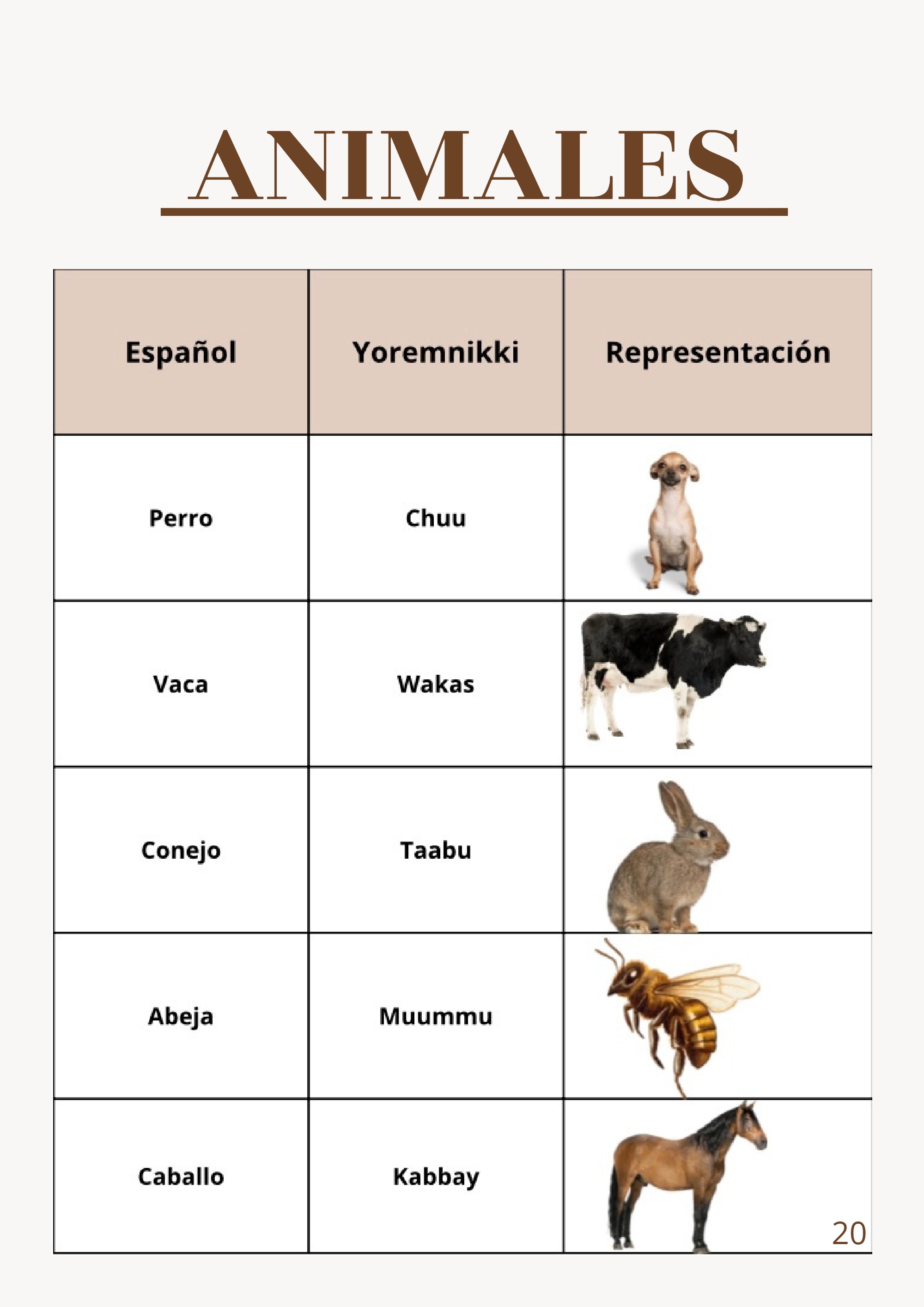REVISTA RAICES Y SABERES — page 20