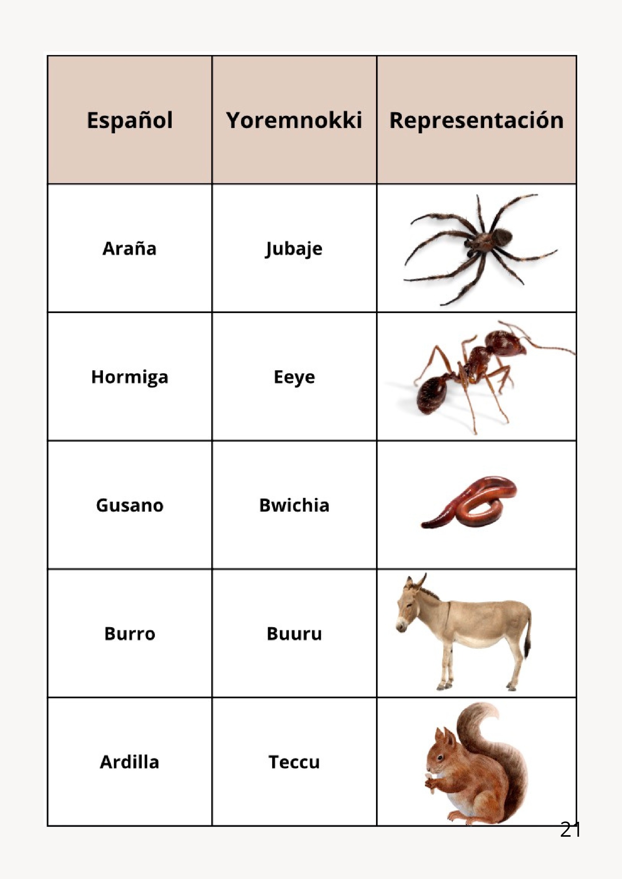 REVISTA RAICES Y SABERES — page 21