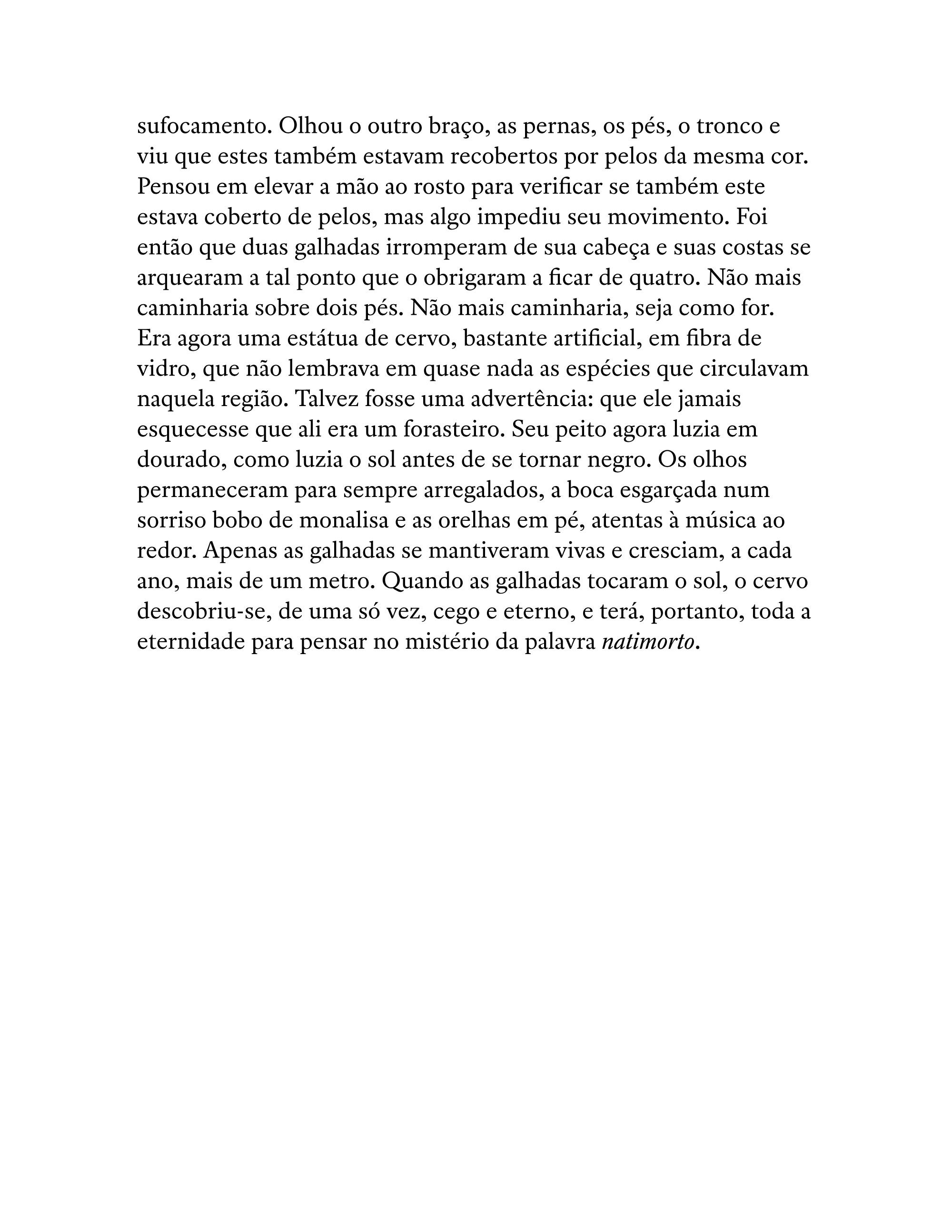 Krakatoa (Verônica Stigger) — page 69