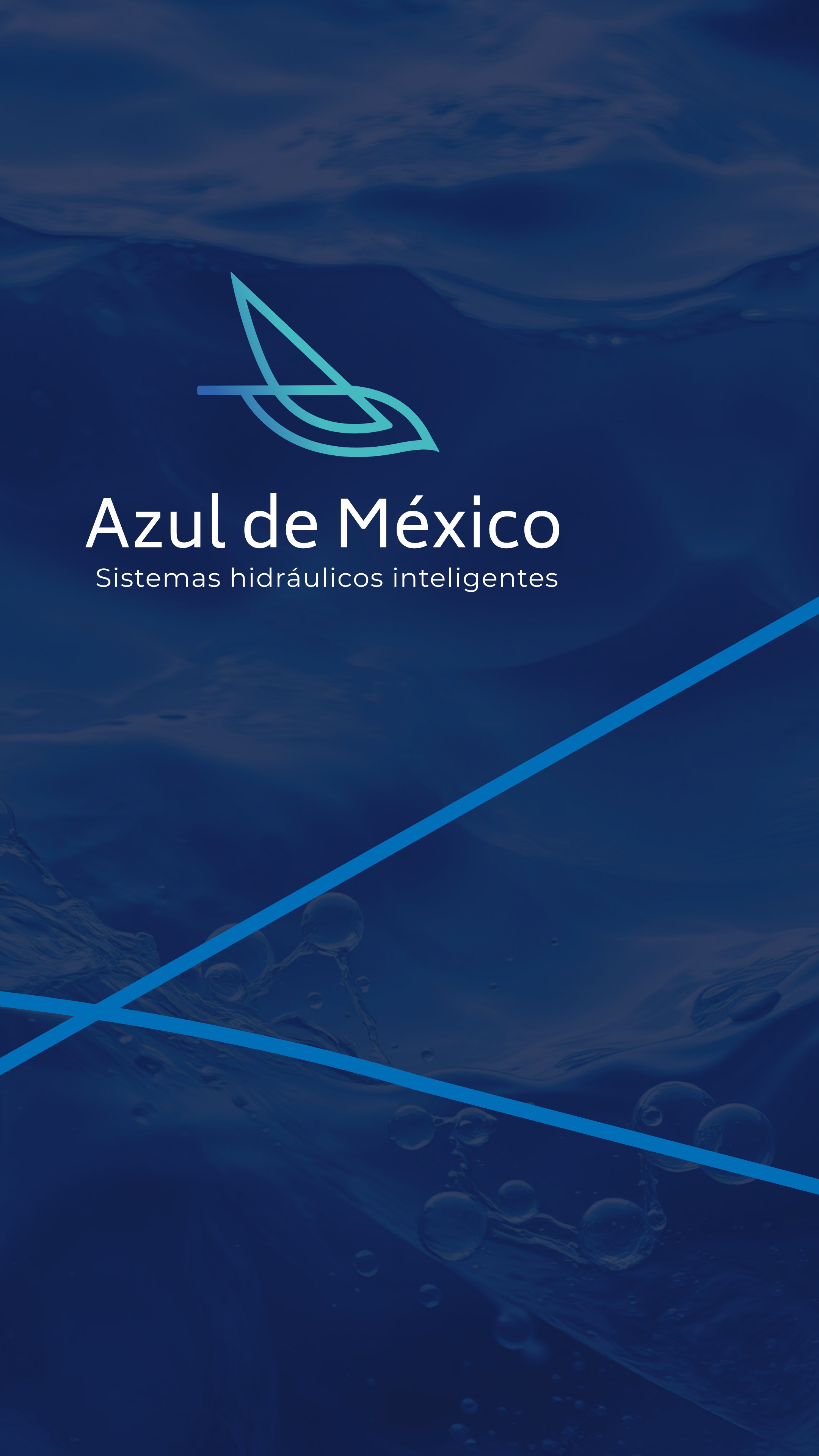 Brochure Digital Azul de México