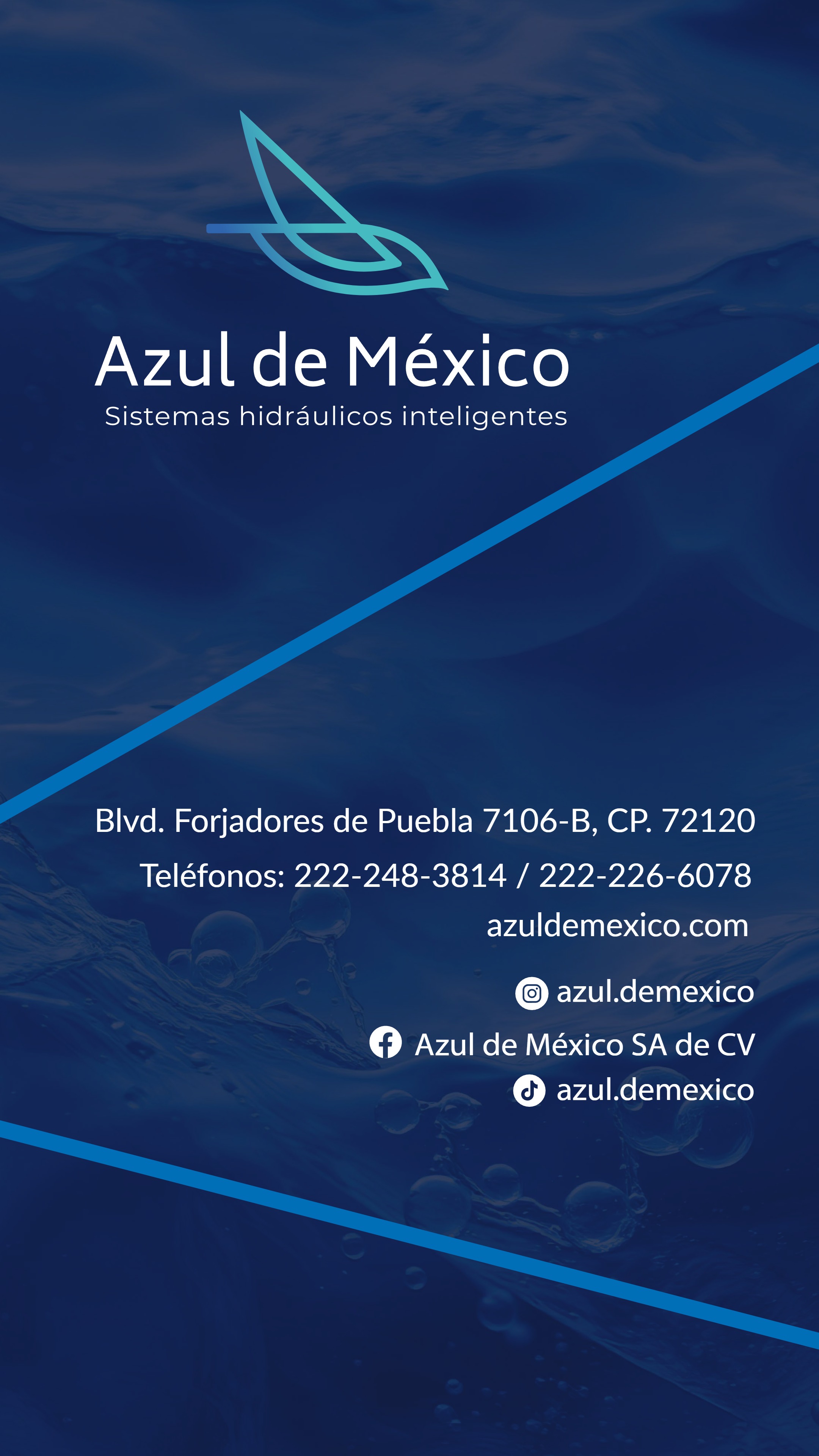 Brochure Digital Azul de México — page 14
