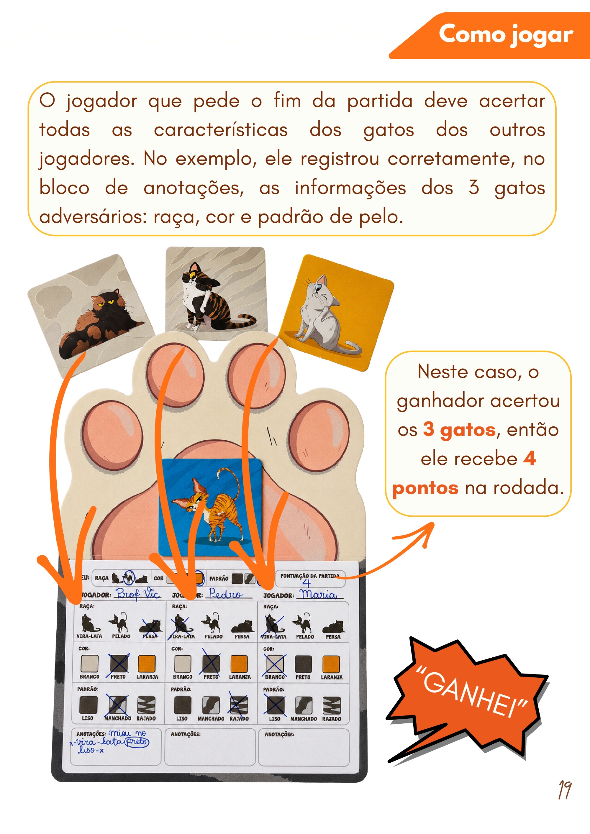 Cópia de Manual Investigato_Miolo — page 20