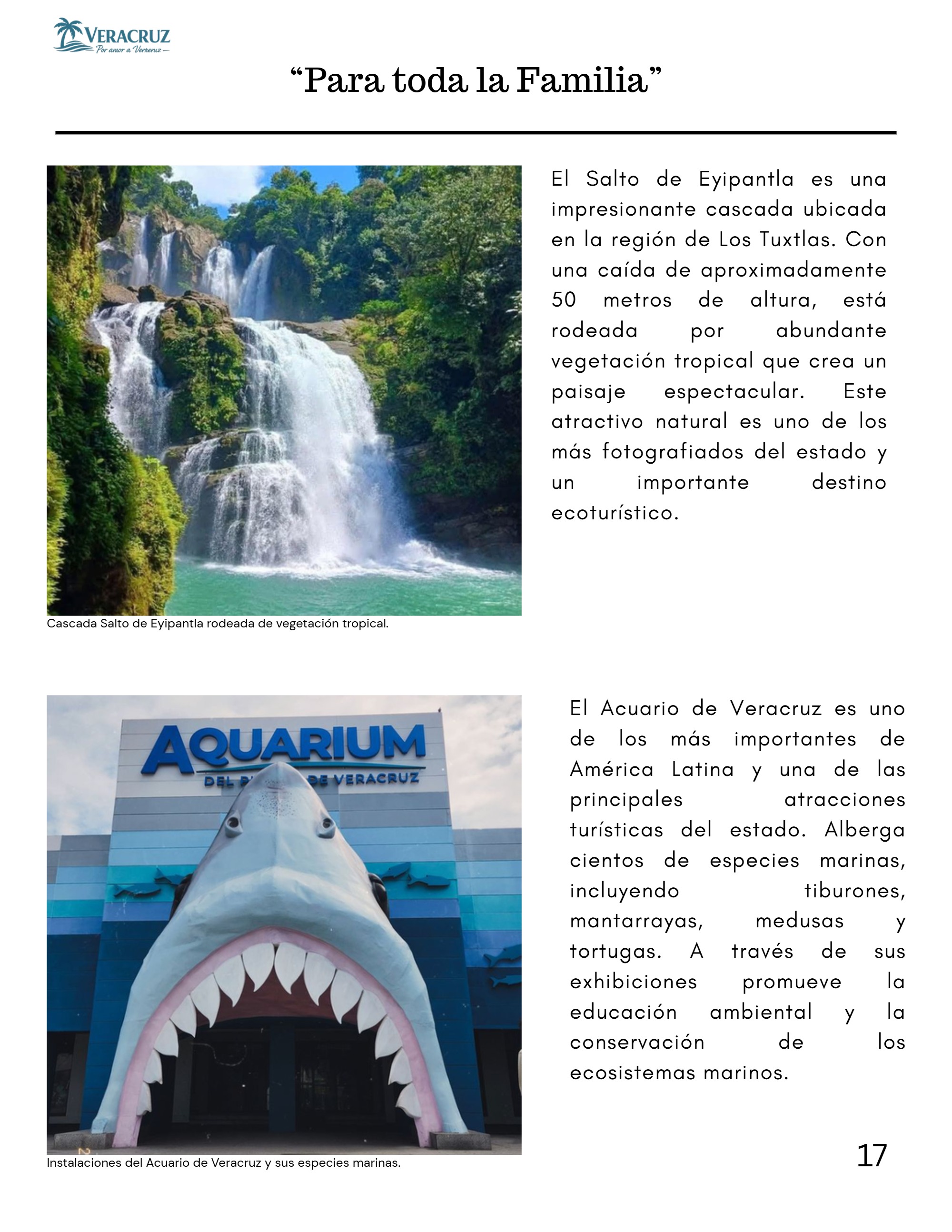 Revista Veracruz - US Letter — page 17