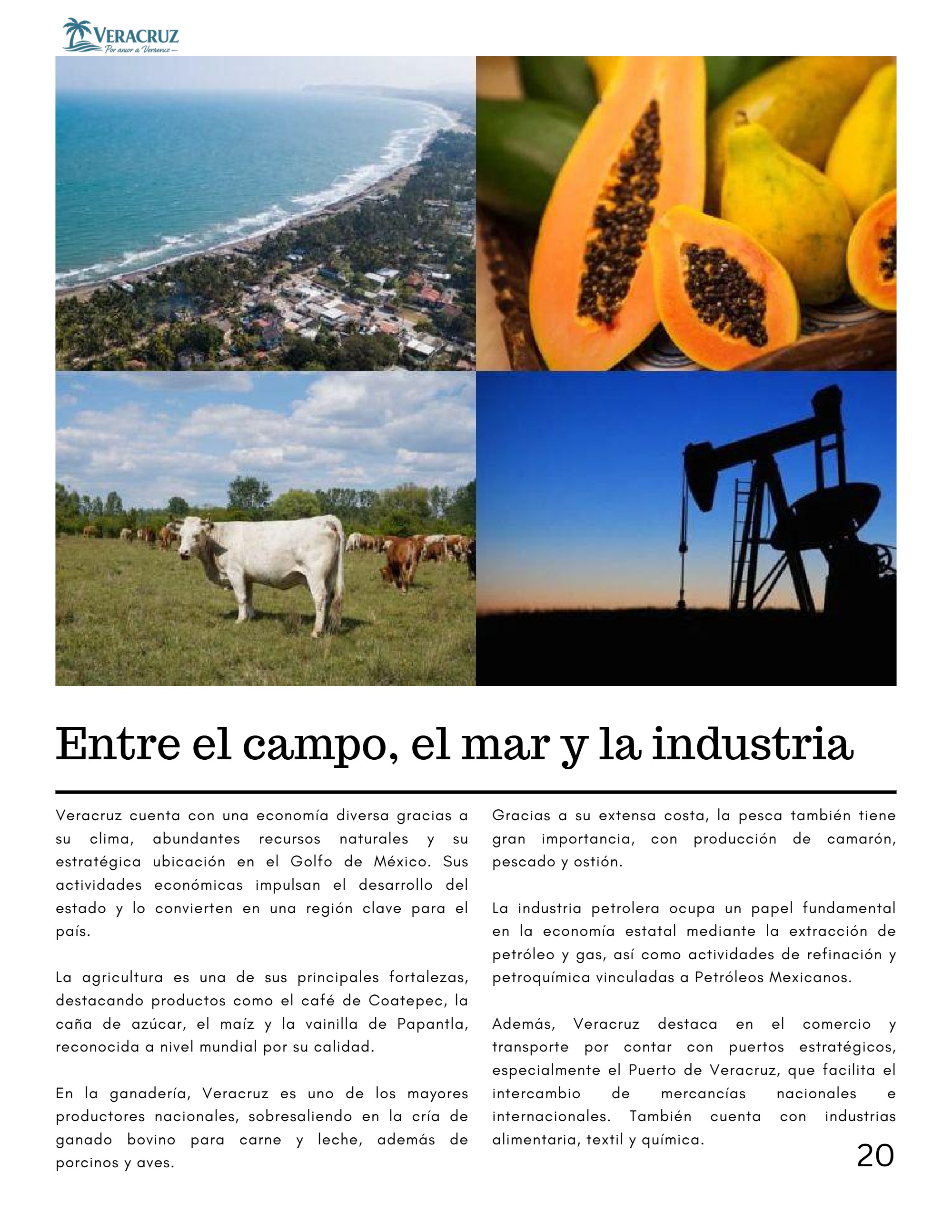 Revista Veracruz - US Letter — page 20