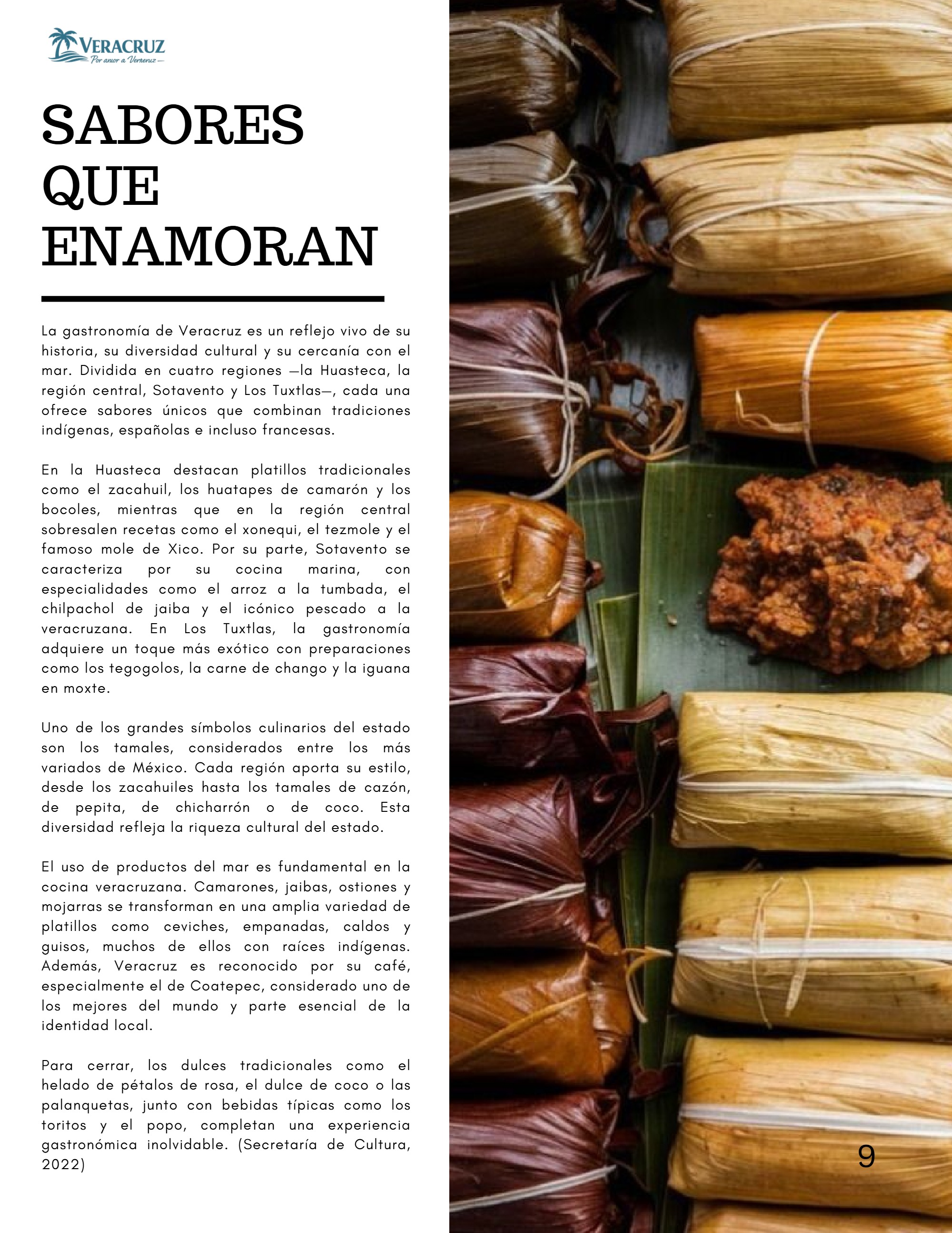 Revista Veracruz - US Letter — page 9
