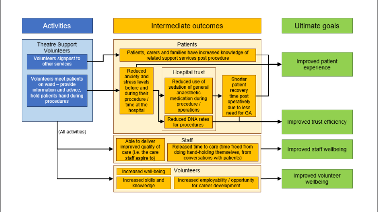 Moorfields Theory of change flow chart