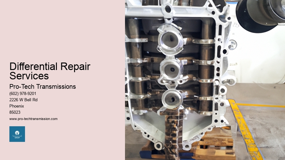 Differential Repair Services