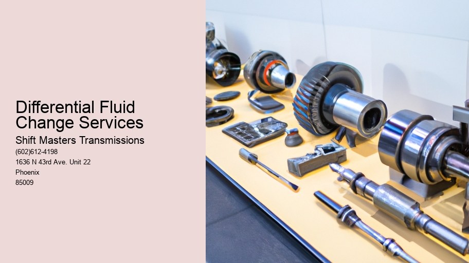 Differential Fluid Change Services