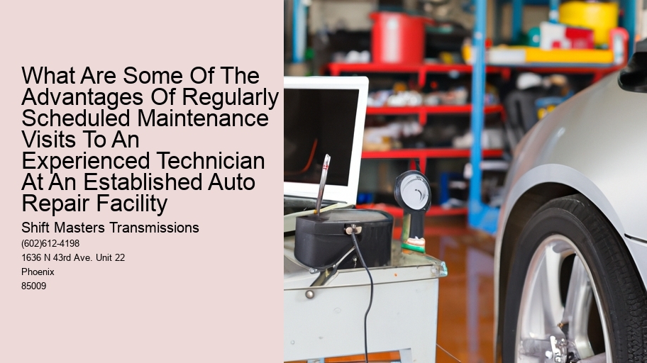 What Are Some Of The Advantages Of Regularly Scheduled Maintenance Visits To An Experienced Technician At An Established Auto Repair Facility