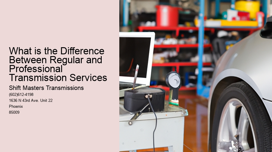 What is the Difference Between Regular and Professional Transmission Services