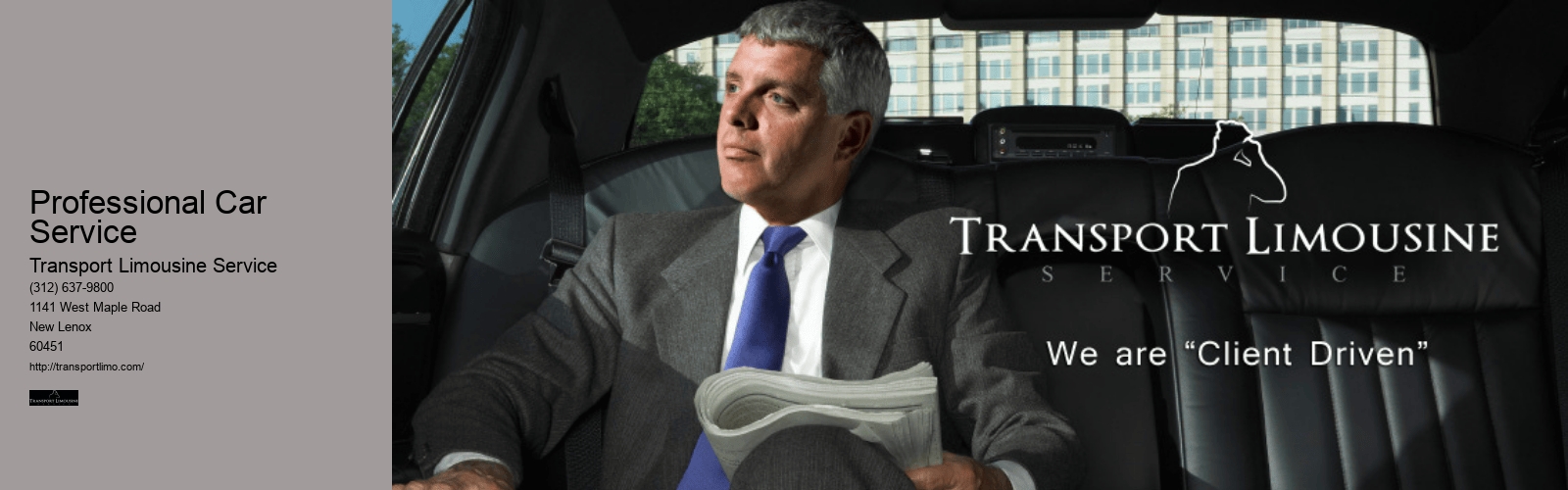 Professional Car Service