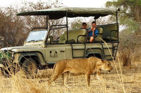 affordable tanzania lodge safari - 6 days